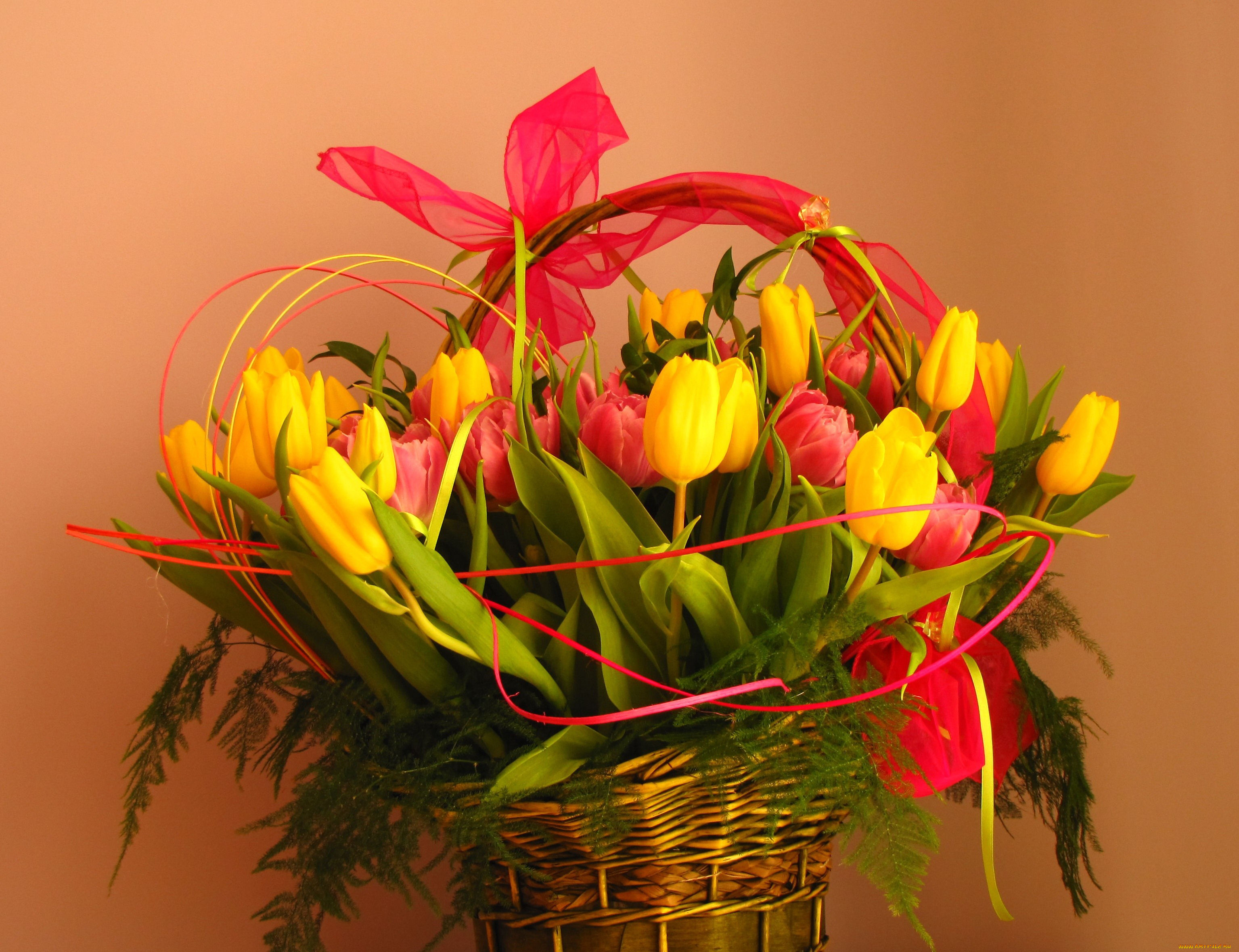 цветы, тюльпаны, корзинка, лента