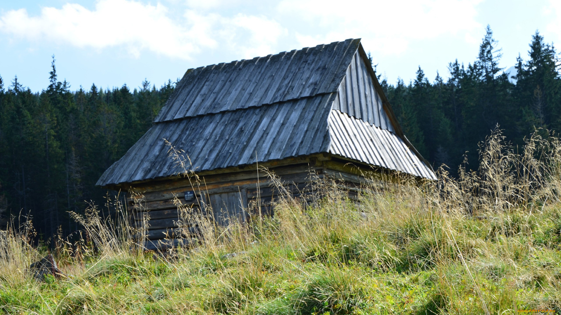 разное, сооружения, постройки, хижина, трава, лес