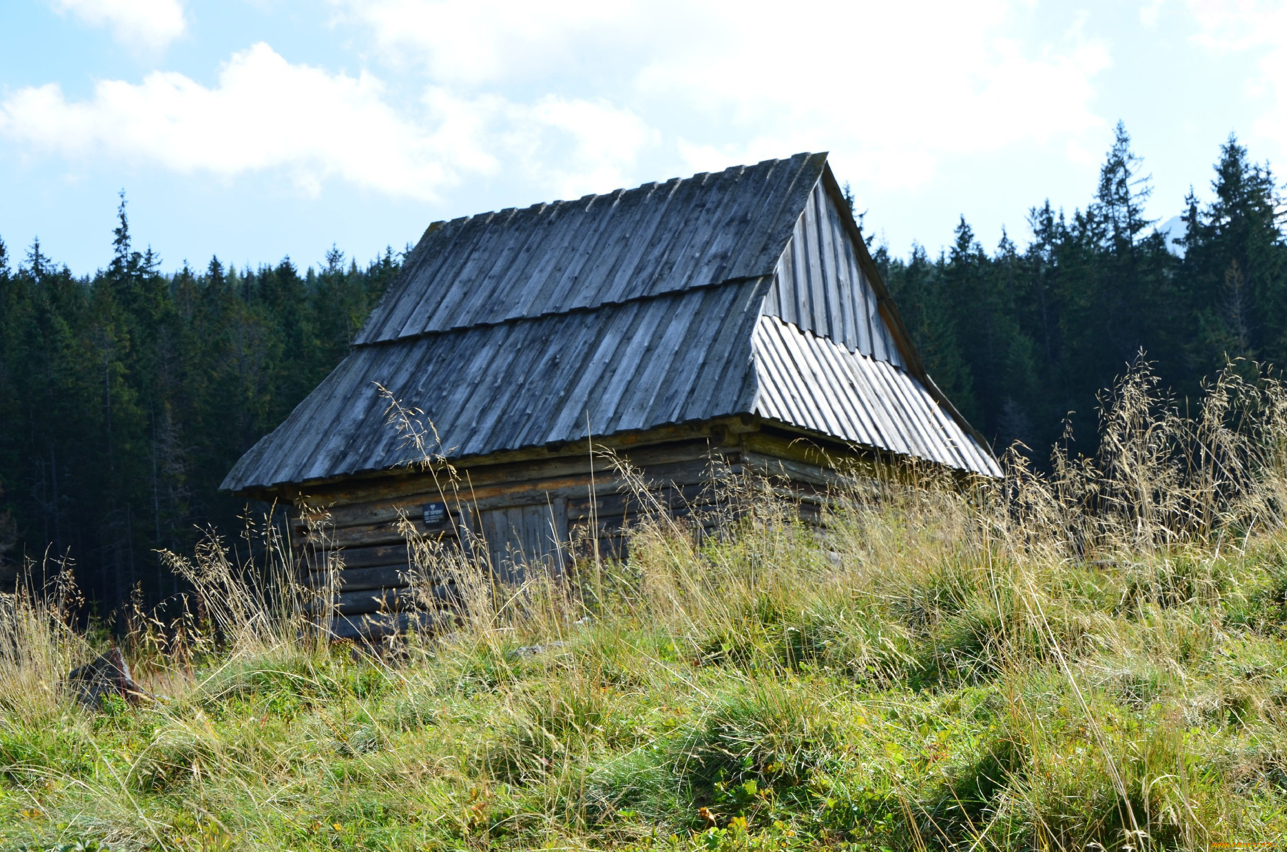 разное, сооружения, постройки, хижина, трава, лес