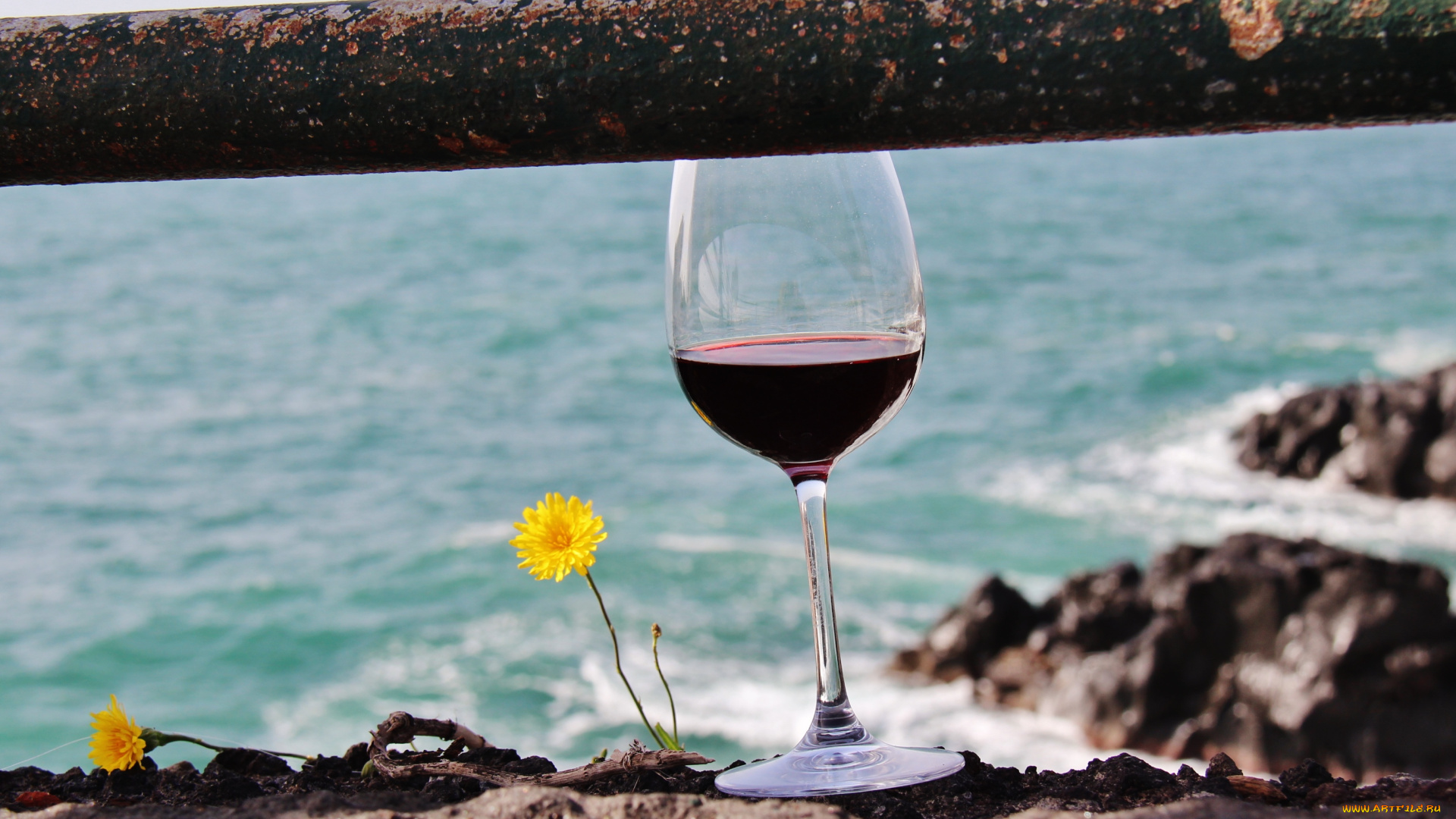 еда, напитки, , вино, вино, море, бокал, цветы