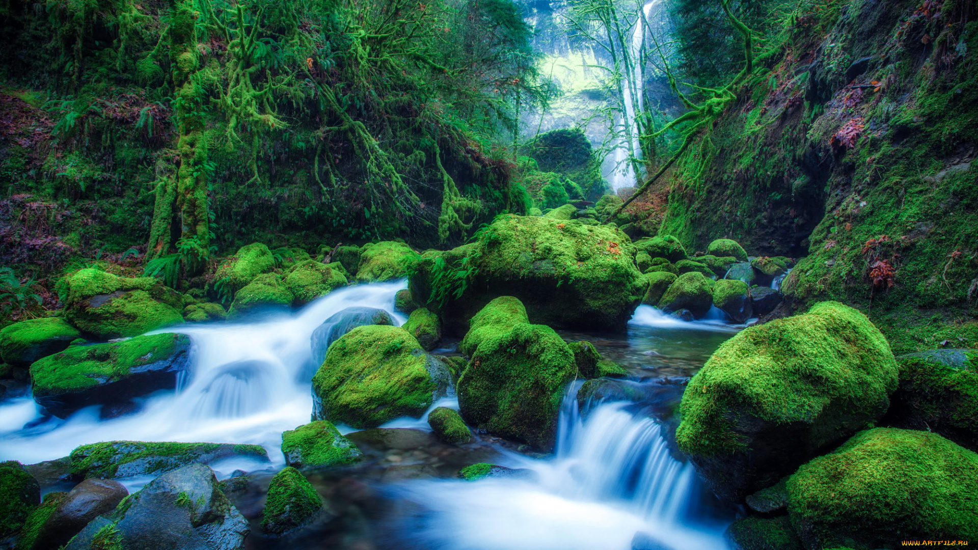 elowah, falls, in, oregon, природа, водопады, орегон, сша, водопад, лес