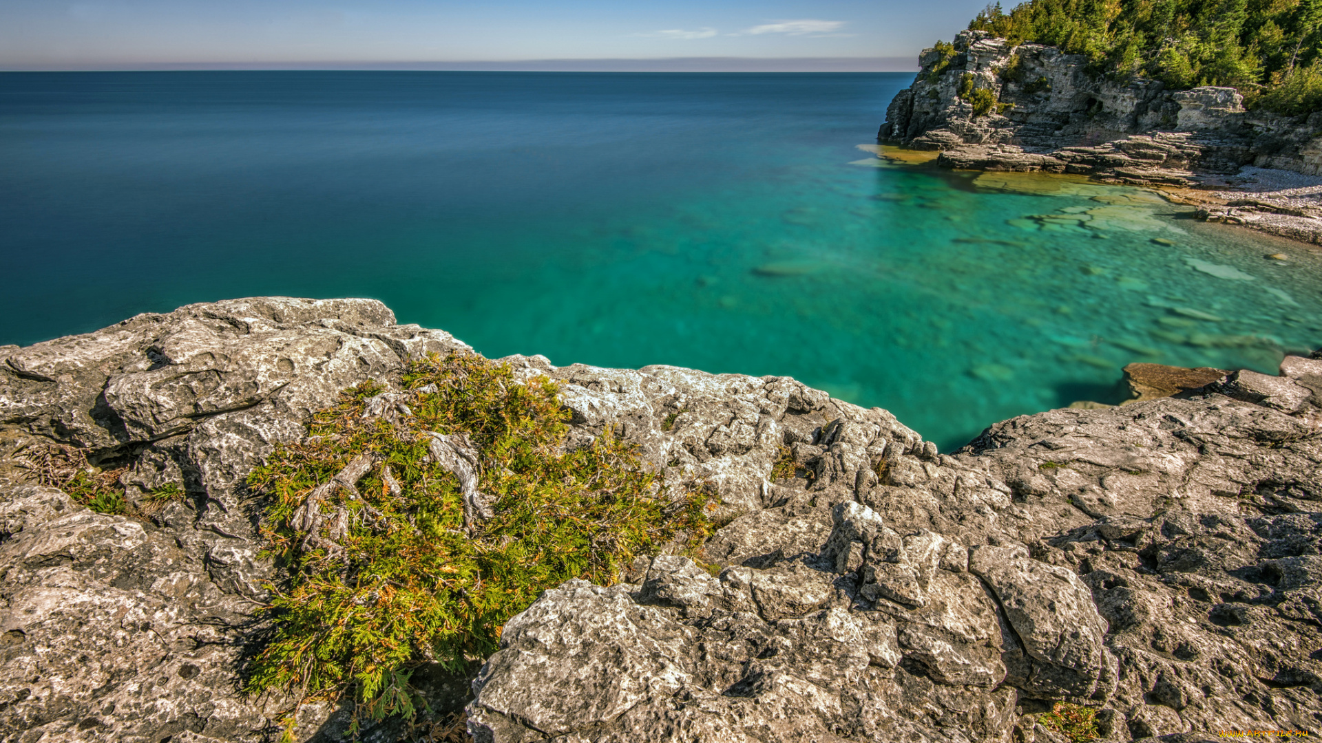 indian, head, cove, , bruce, peninsula, provincial, park, природа, побережье, горизонт, лес, скалы, бухта, океан