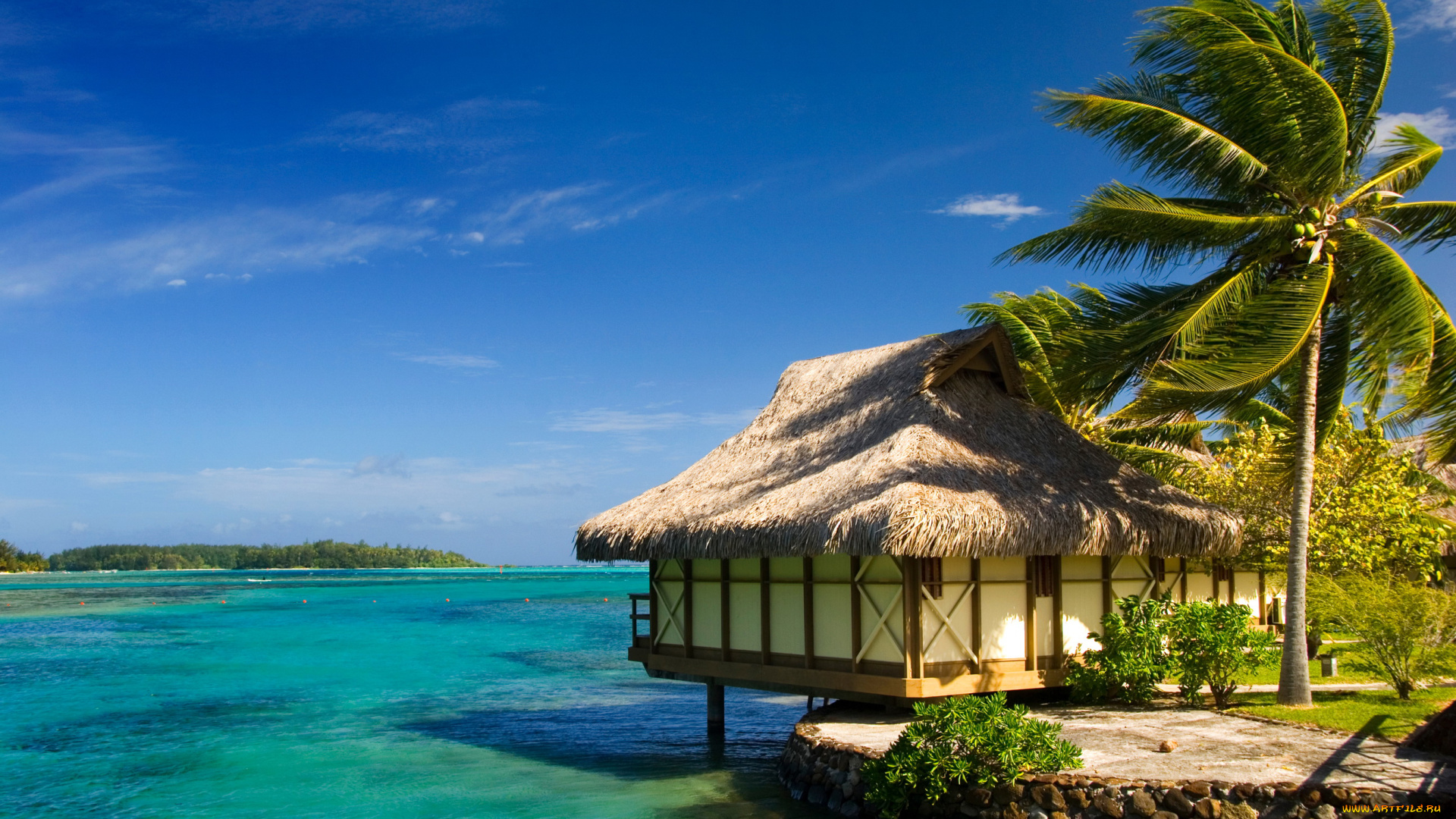 moorea, , french, polynesia, природа, тропики, море, трпики, french, polynesia, бунгало