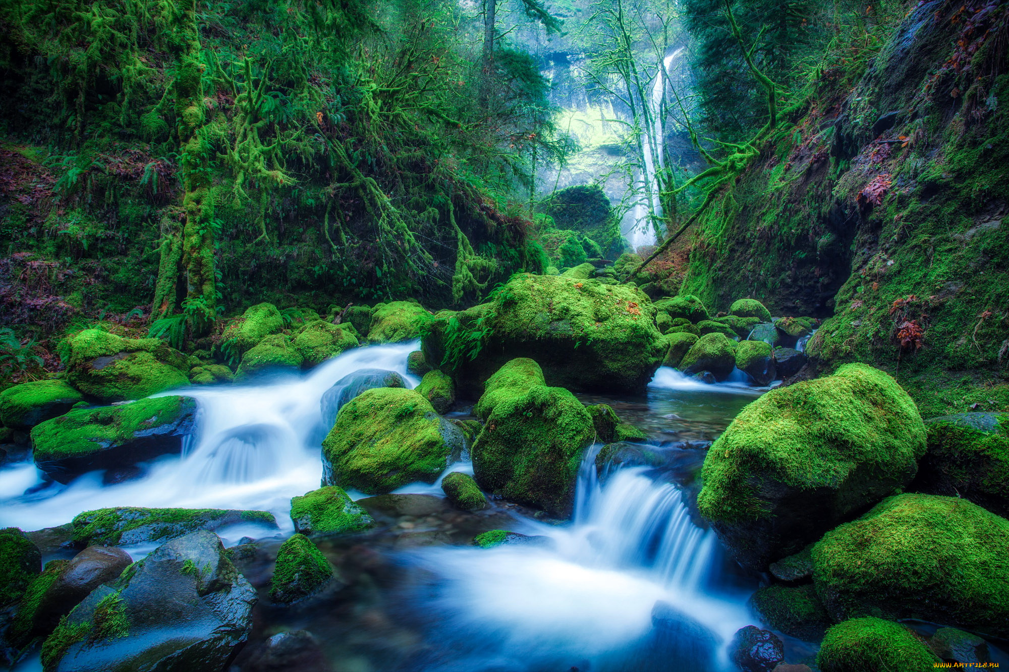 elowah, falls, in, oregon, природа, водопады, орегон, сша, водопад, лес