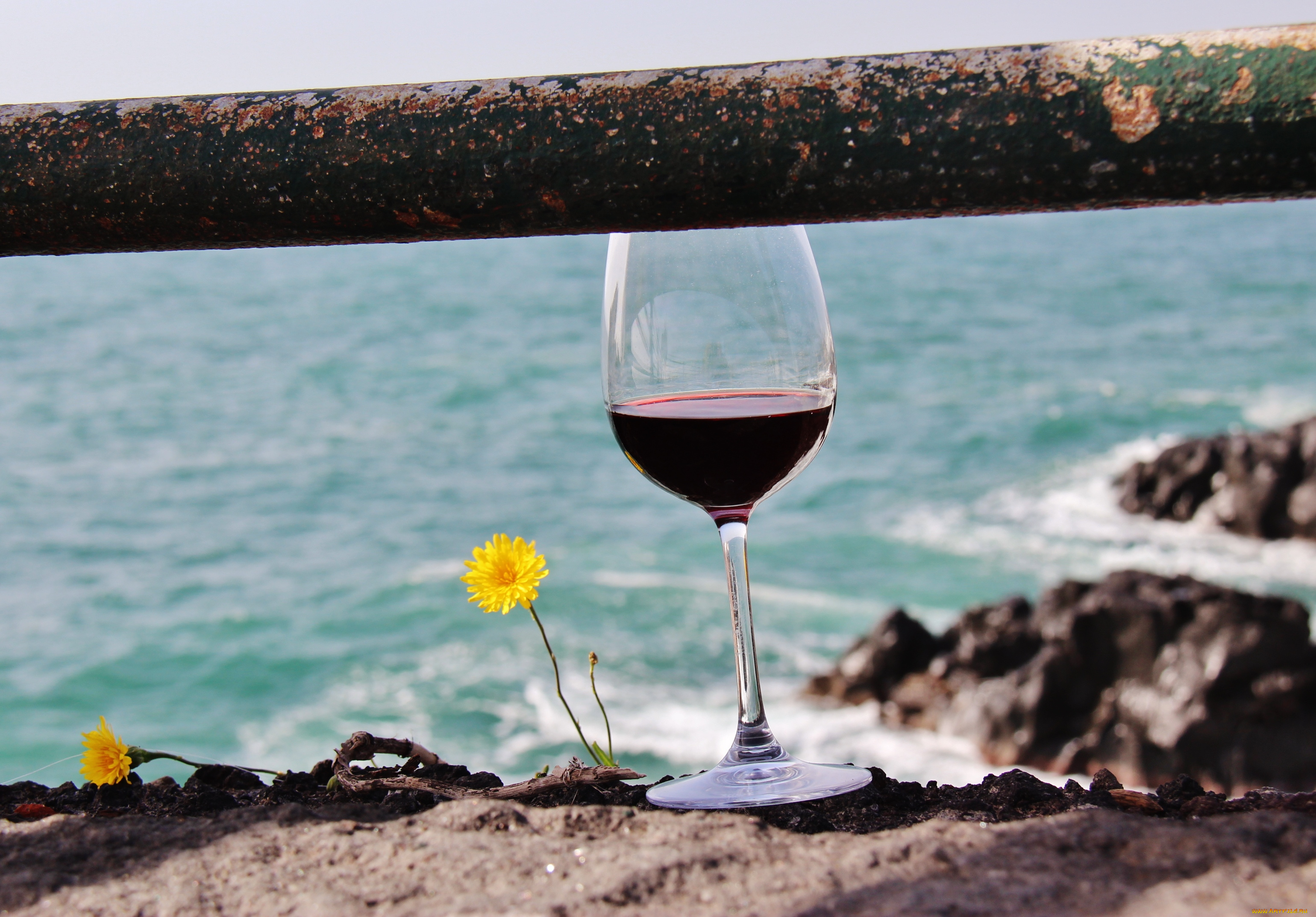 белое вино бокалы у моря бесплатно