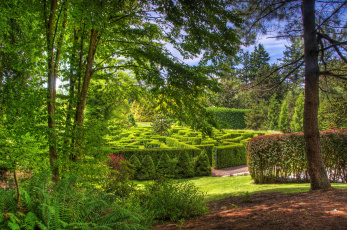 Картинка vandusen+botanical+garden +vancouver++канада природа парк канада vancouver garden botanical vandusen деревья кусты сад