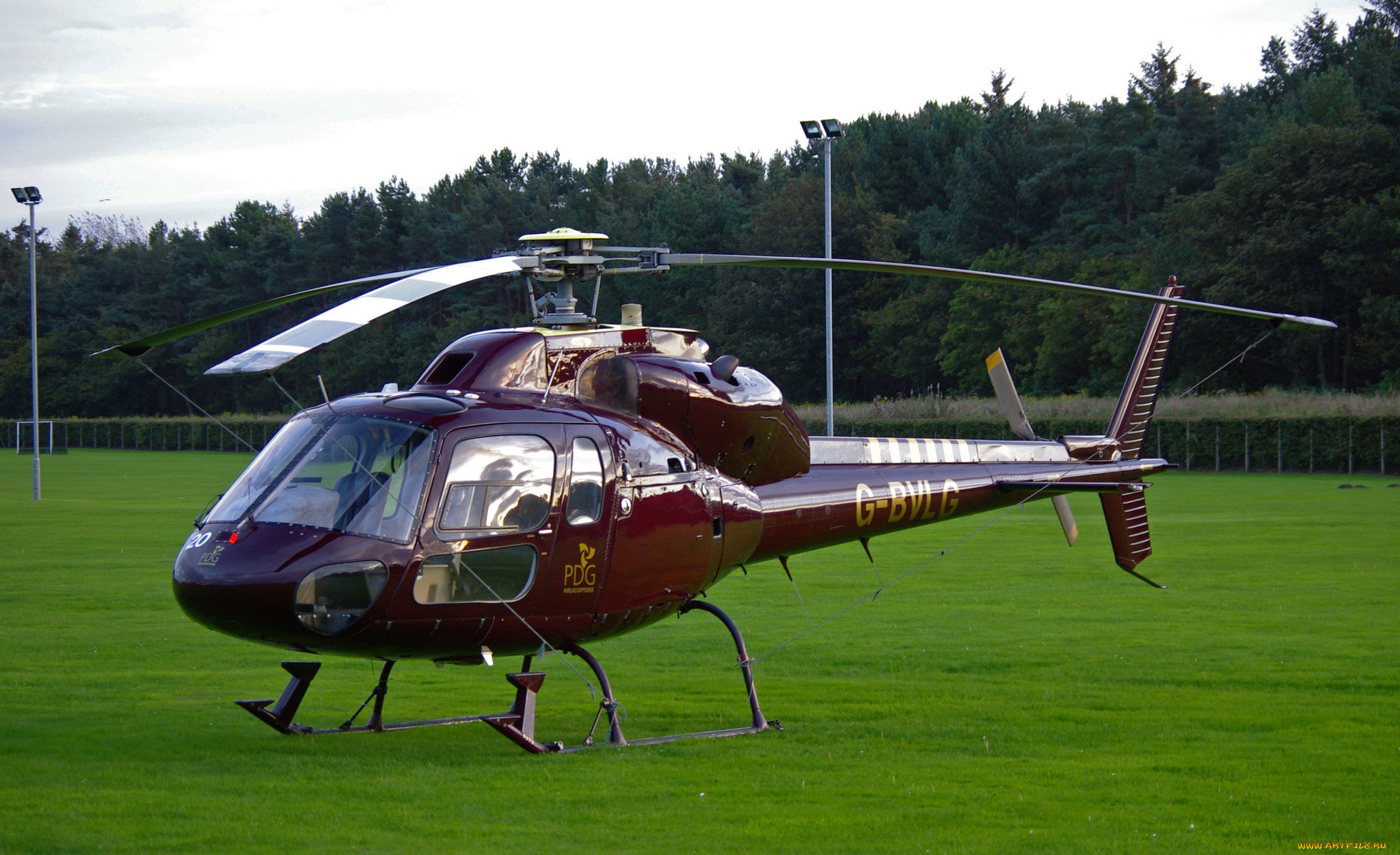 pdg, helicopters, авиация, вертолёты, вертушка
