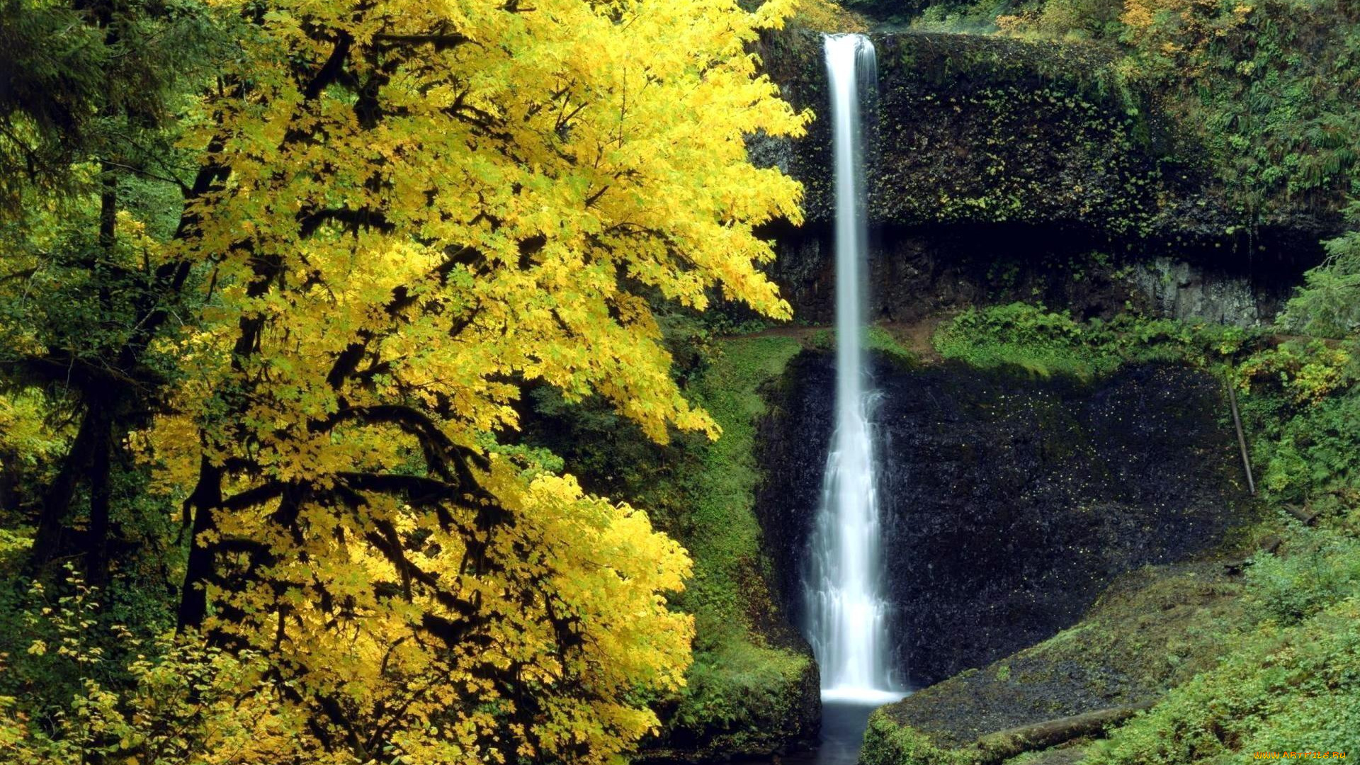 природа, водопады, скалы, осень, деревья, водопад