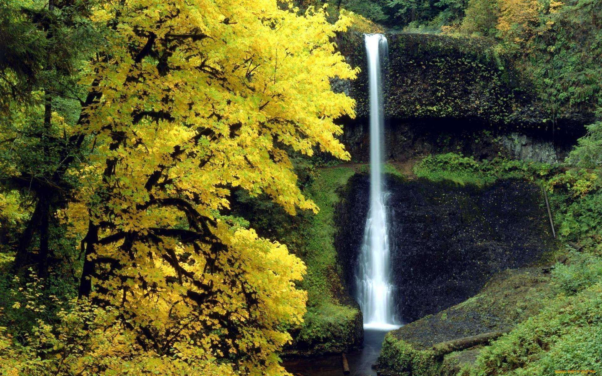 природа, водопады, скалы, осень, деревья, водопад
