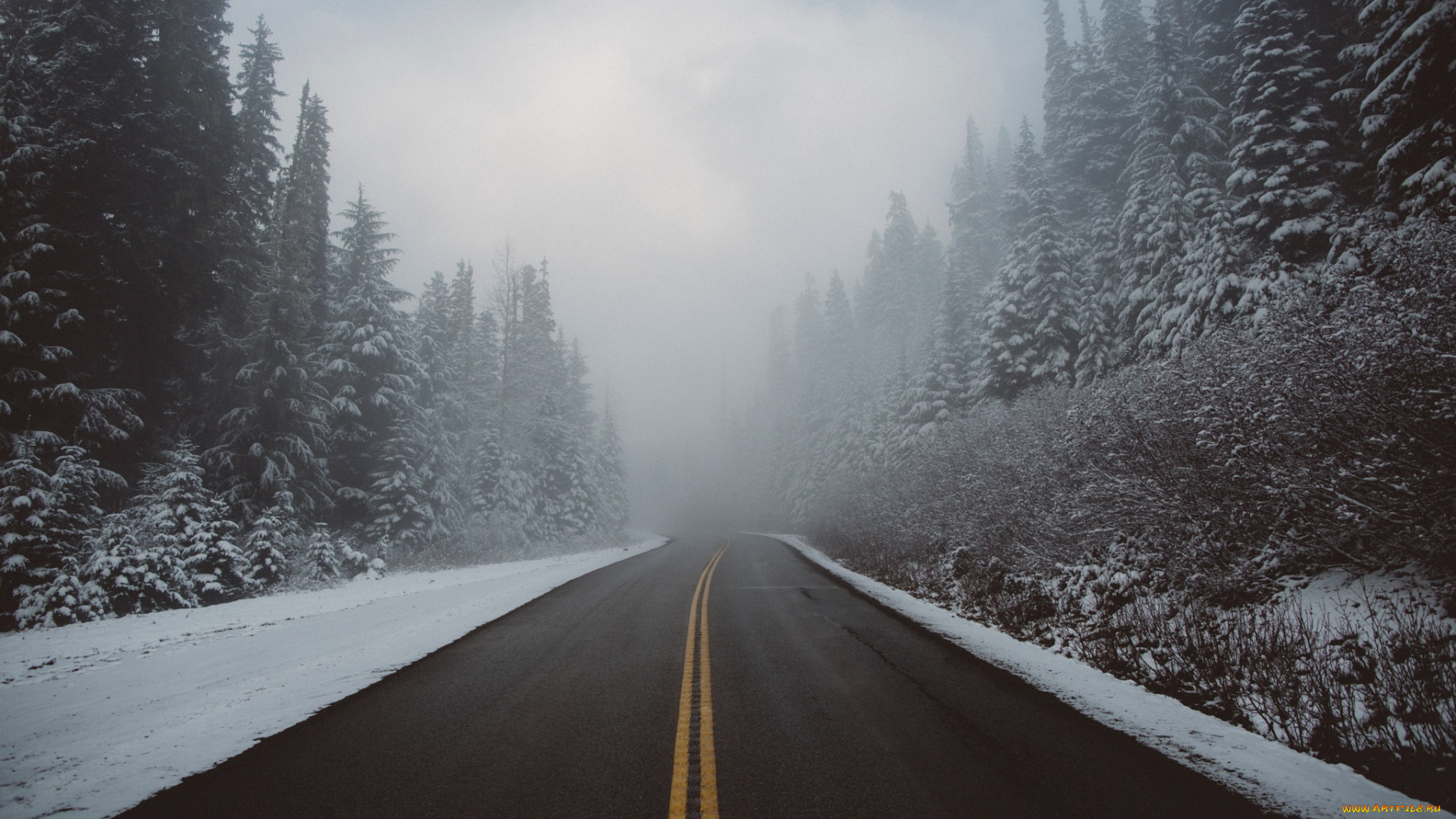 природа, дороги, лес, дымка, зима, дорога, снег, туман