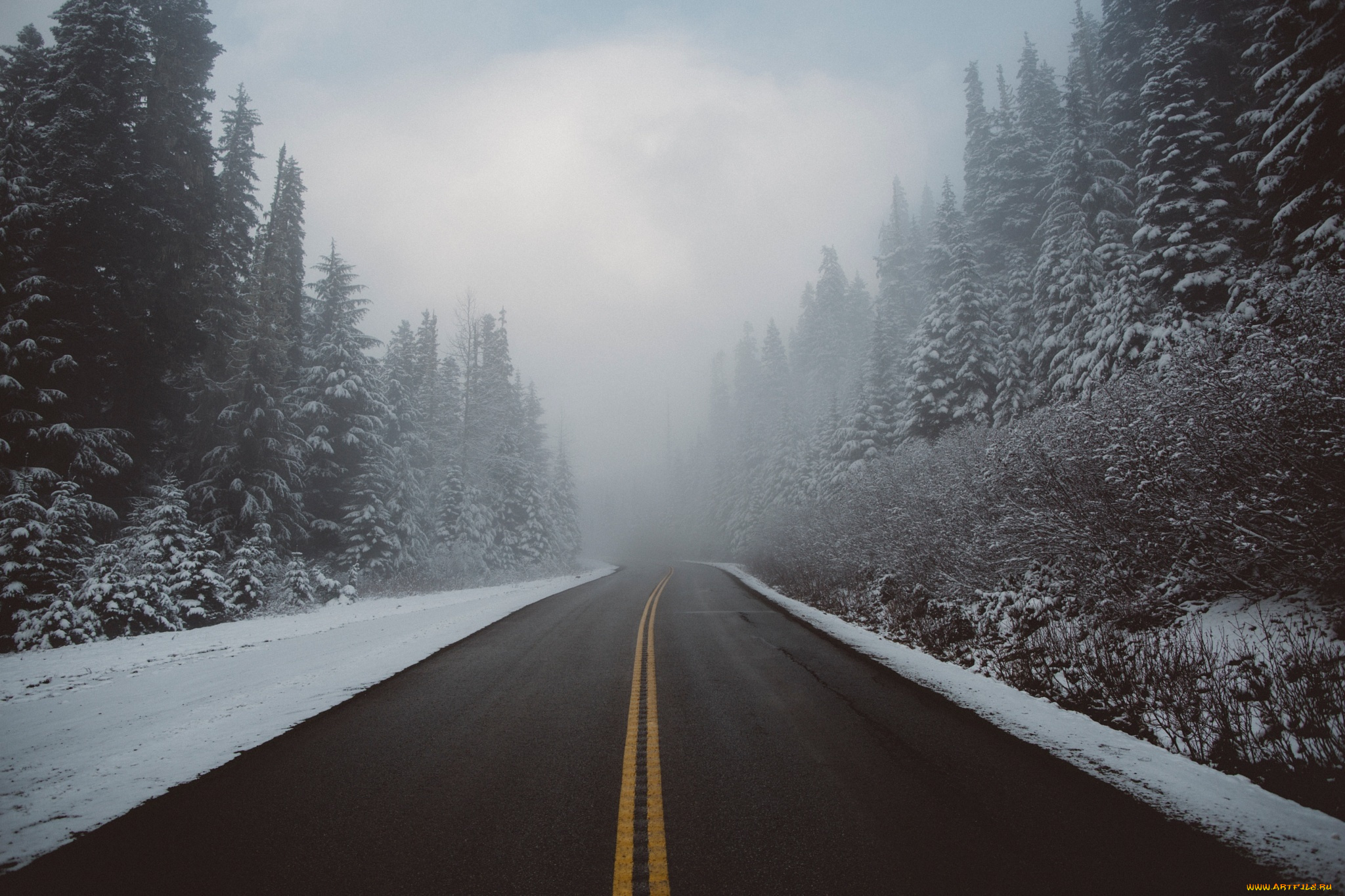природа, дороги, лес, дымка, зима, дорога, снег, туман