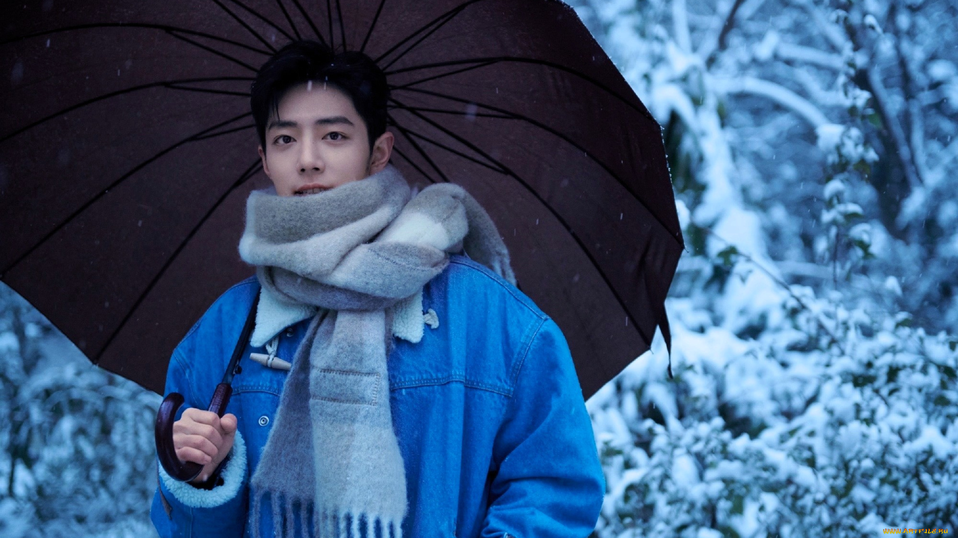 мужчины, xiao, zhan, актер, зонт, шарф, куртка, зима, лес