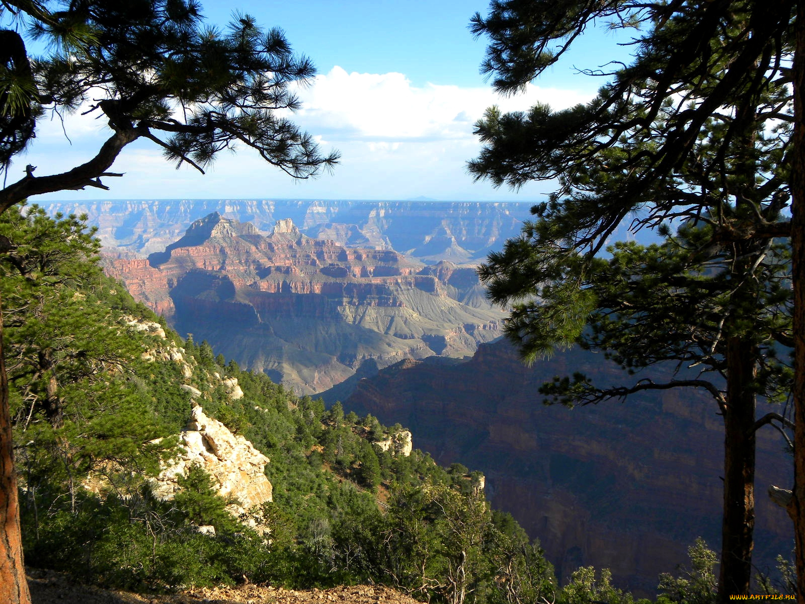 grand, canyon, the, north, rim, природа, горы, аризона