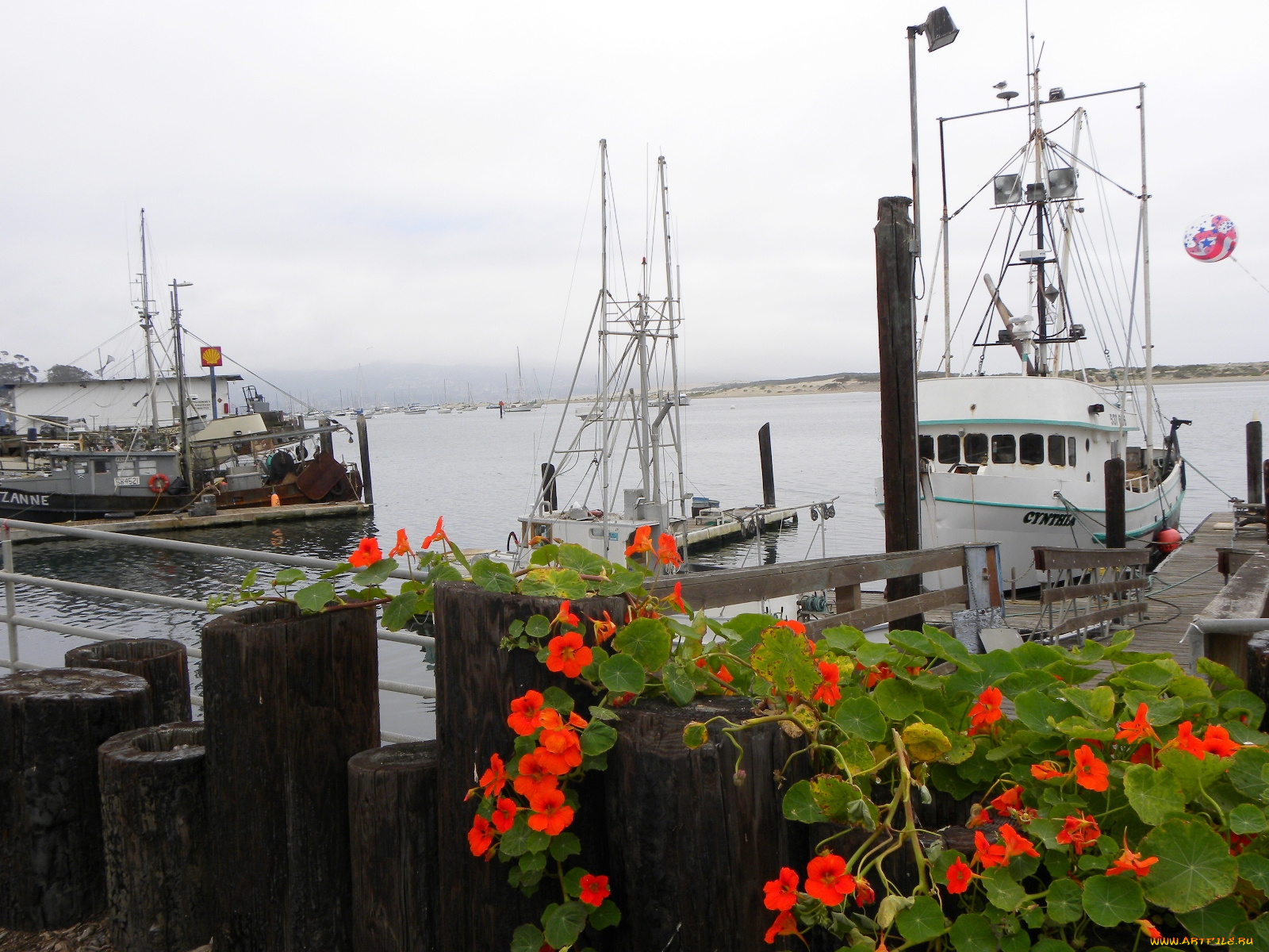 morro, bay, fishing, docks, корабли, порты, причалы, настурция, калифорния