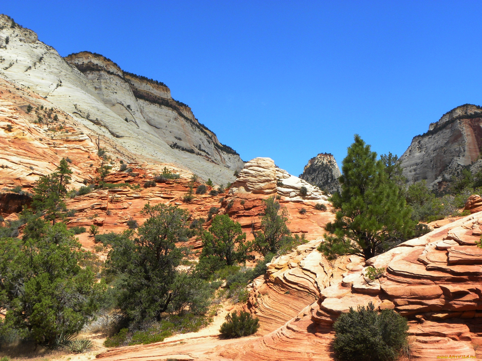 zion, national, park, природа, горы, сша