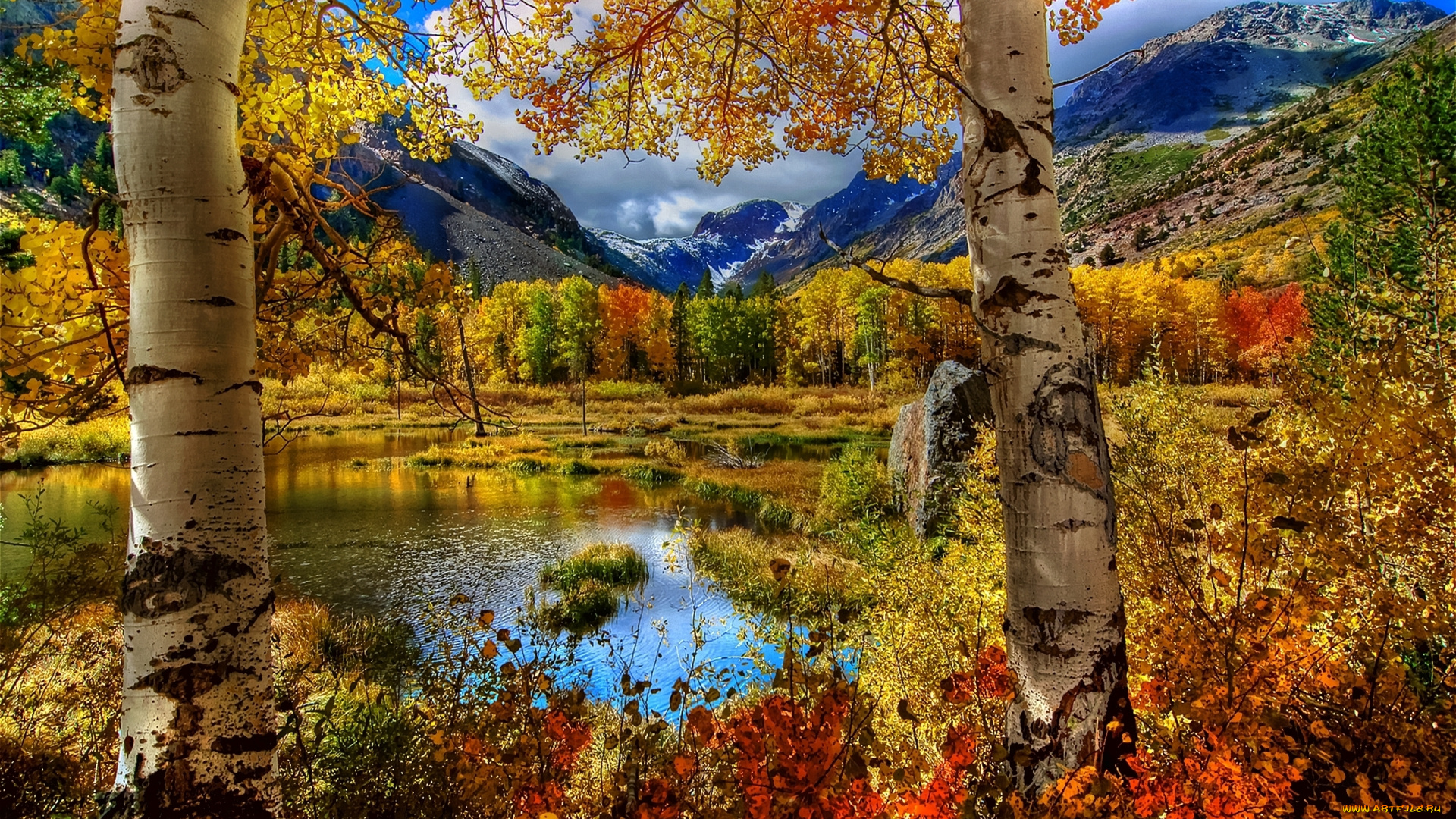природа, пейзажи, краски, деревья, озеро, осень, красота