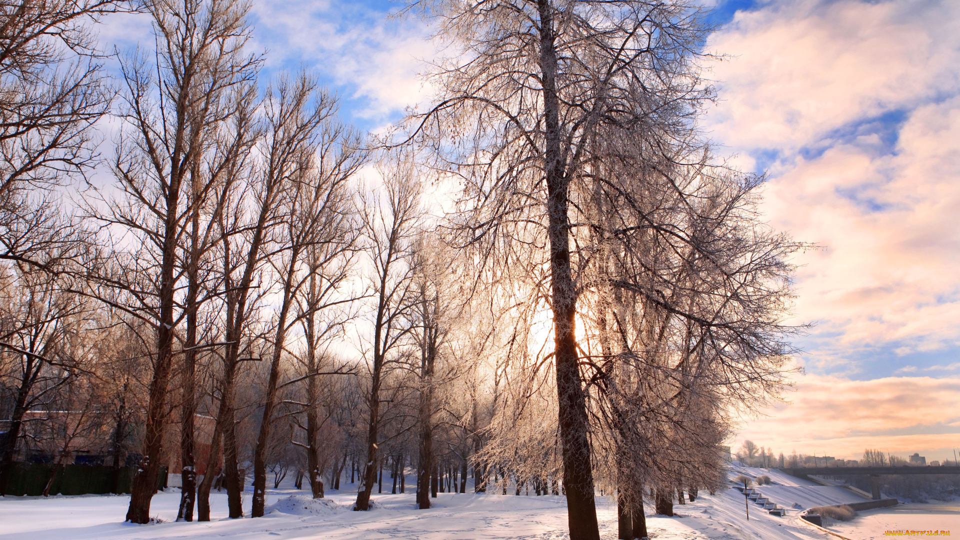 природа, зима, дорога, снег, деревья, иней, облака