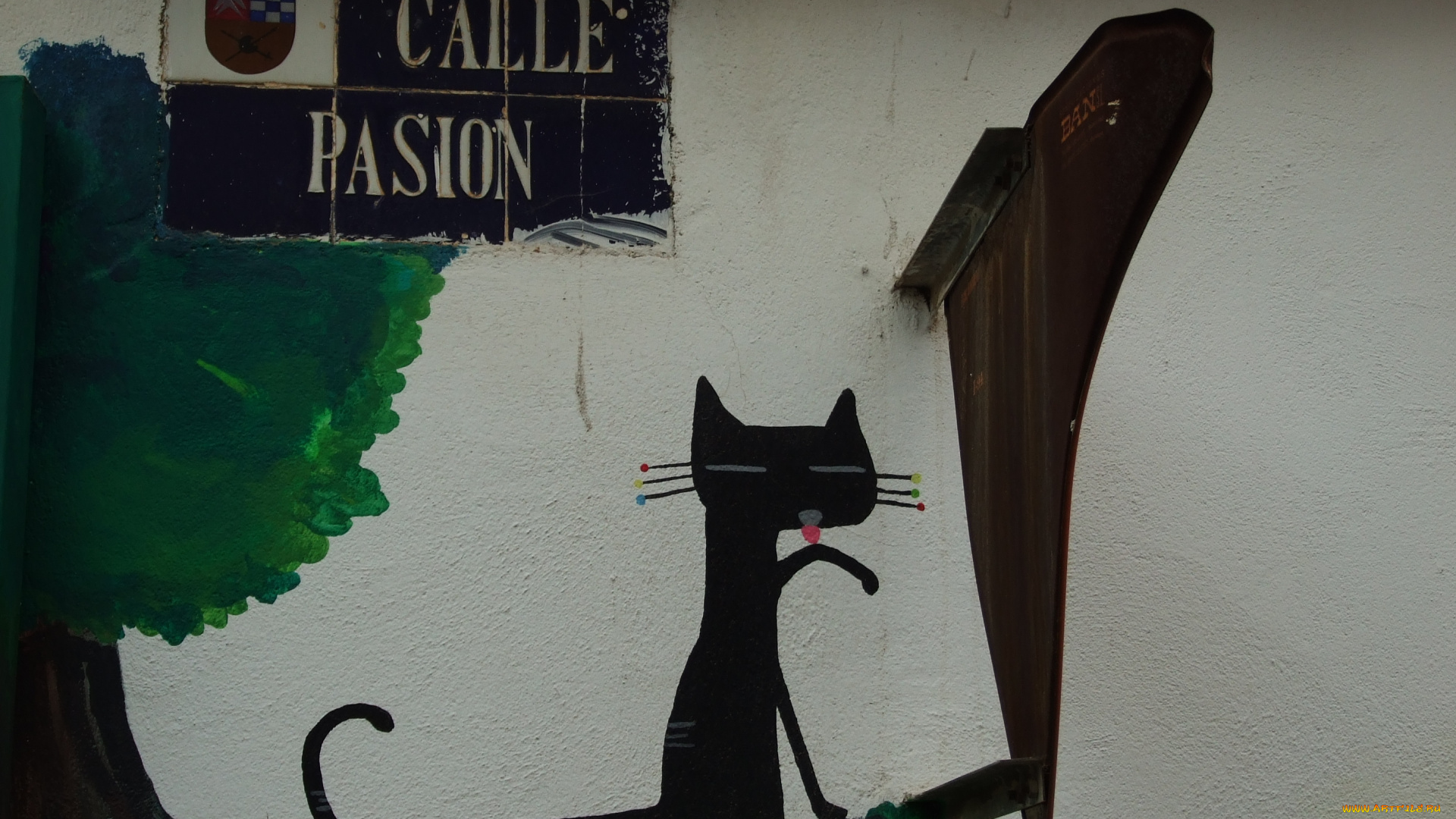 разное, граффити, кошка