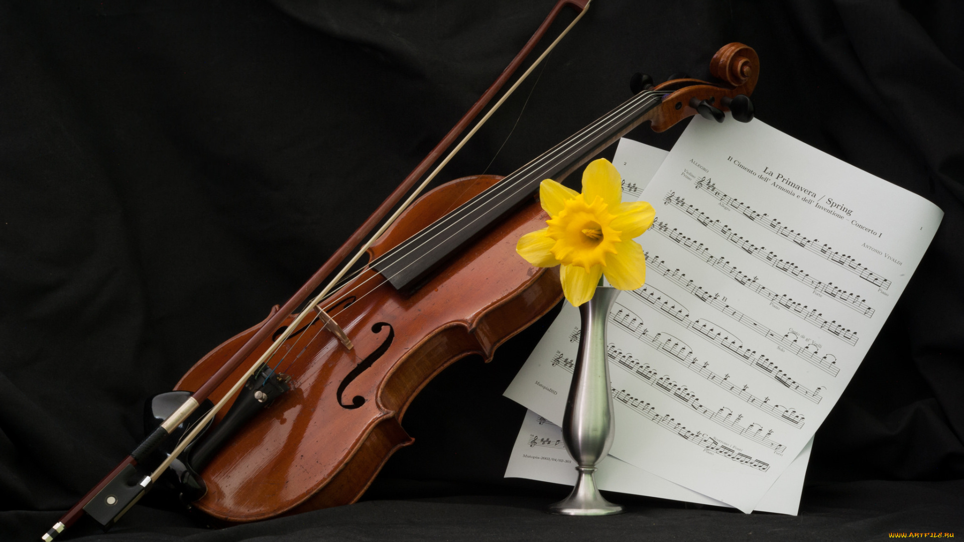 музыка, музыкальные, инструменты, смычок, скрипка, ваза, цветок, ноты