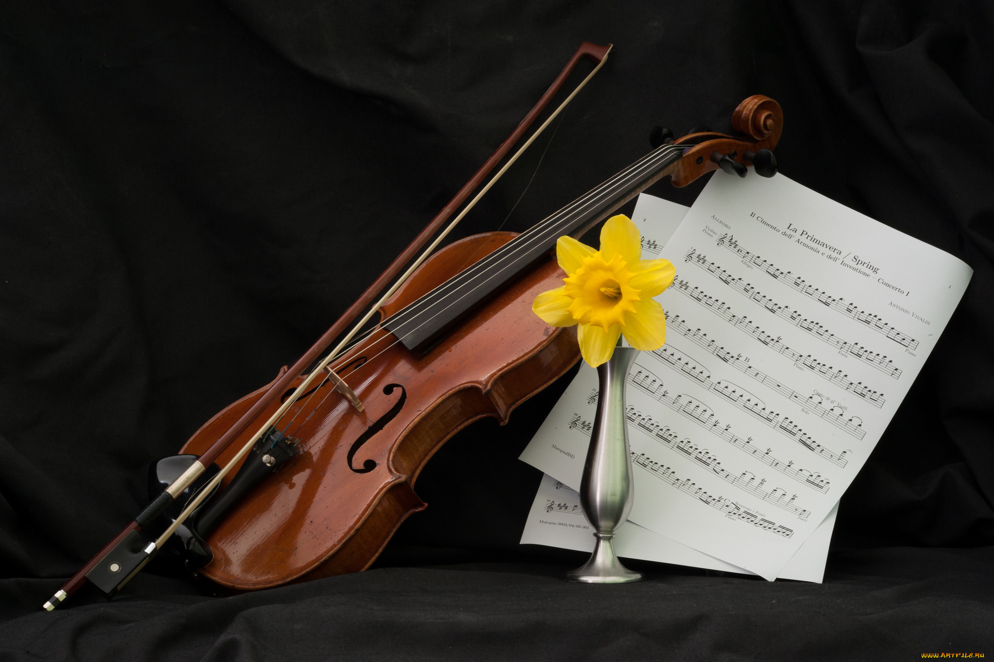 музыка, музыкальные, инструменты, смычок, скрипка, ваза, цветок, ноты