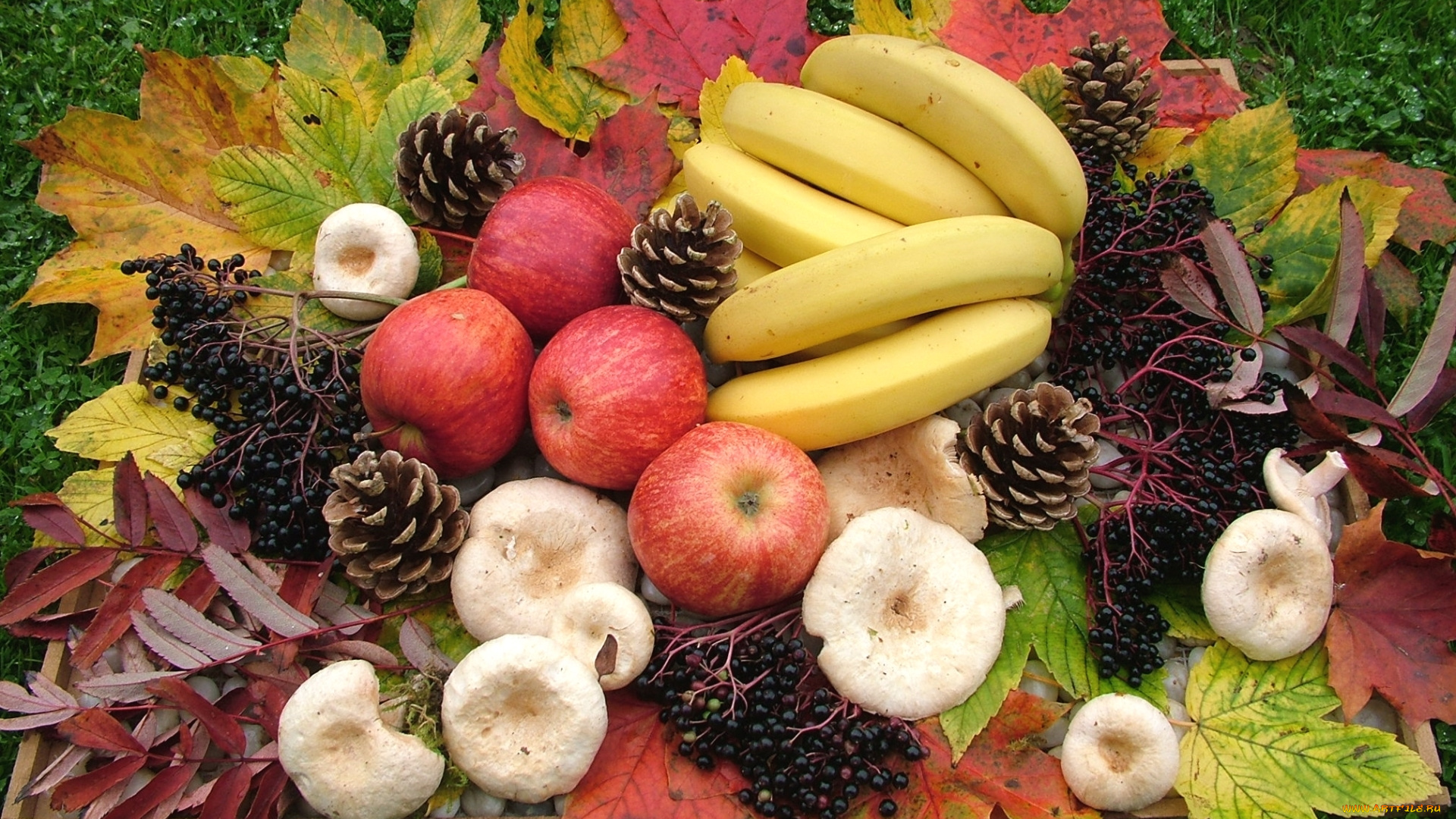 еда, разное, грибы, шишки, бананы, яблоки, листья