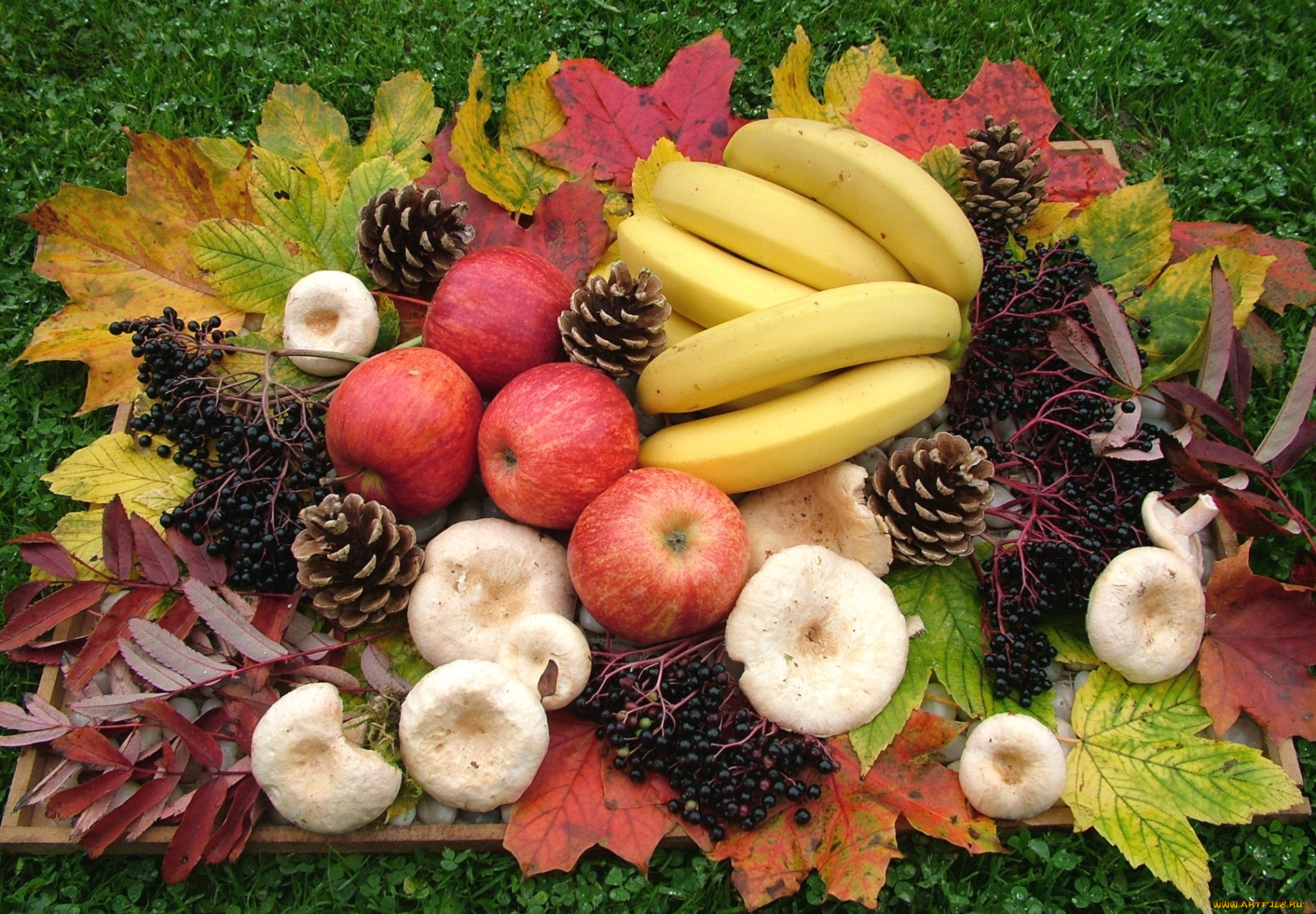 еда, разное, грибы, шишки, бананы, яблоки, листья