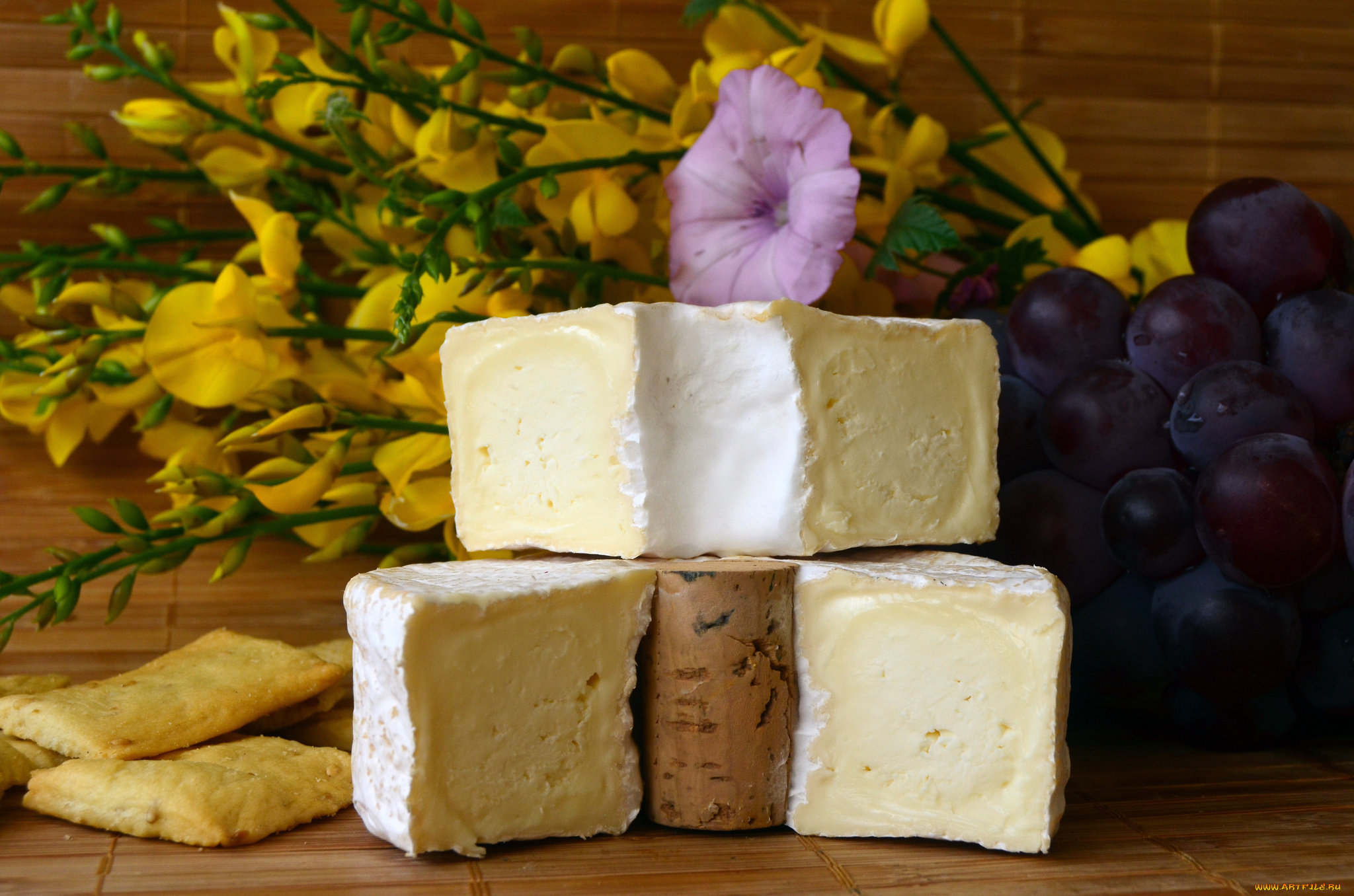 le, fromage, &, 212, , bouchon, еда, сырные, изделия, сыр