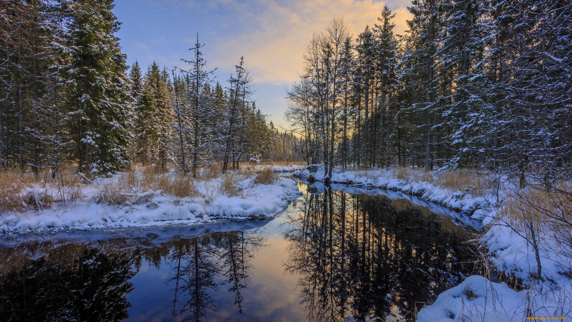 природа, реки, озера, река, лес