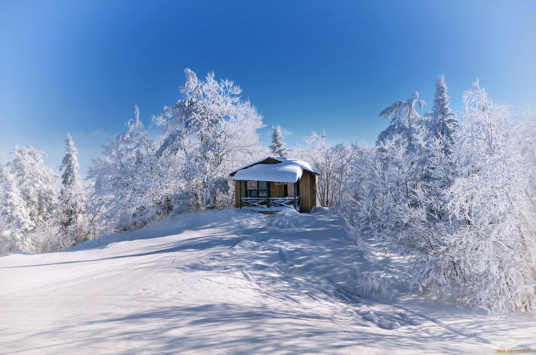 природа, зима, холм, снег, деревья, домик