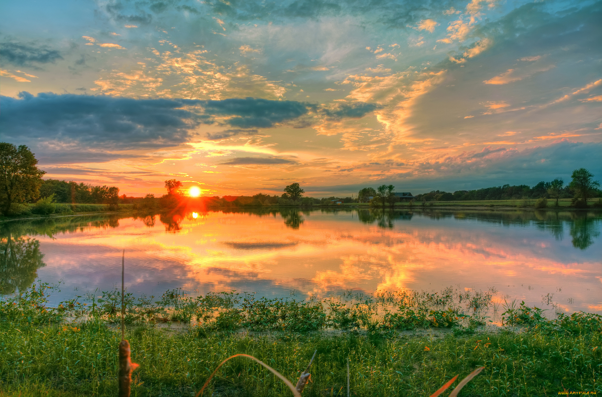 Природа солнце вода. Рассвет на реке лето деревня. Рассвет на реке. Река солнце. Закат на реке.