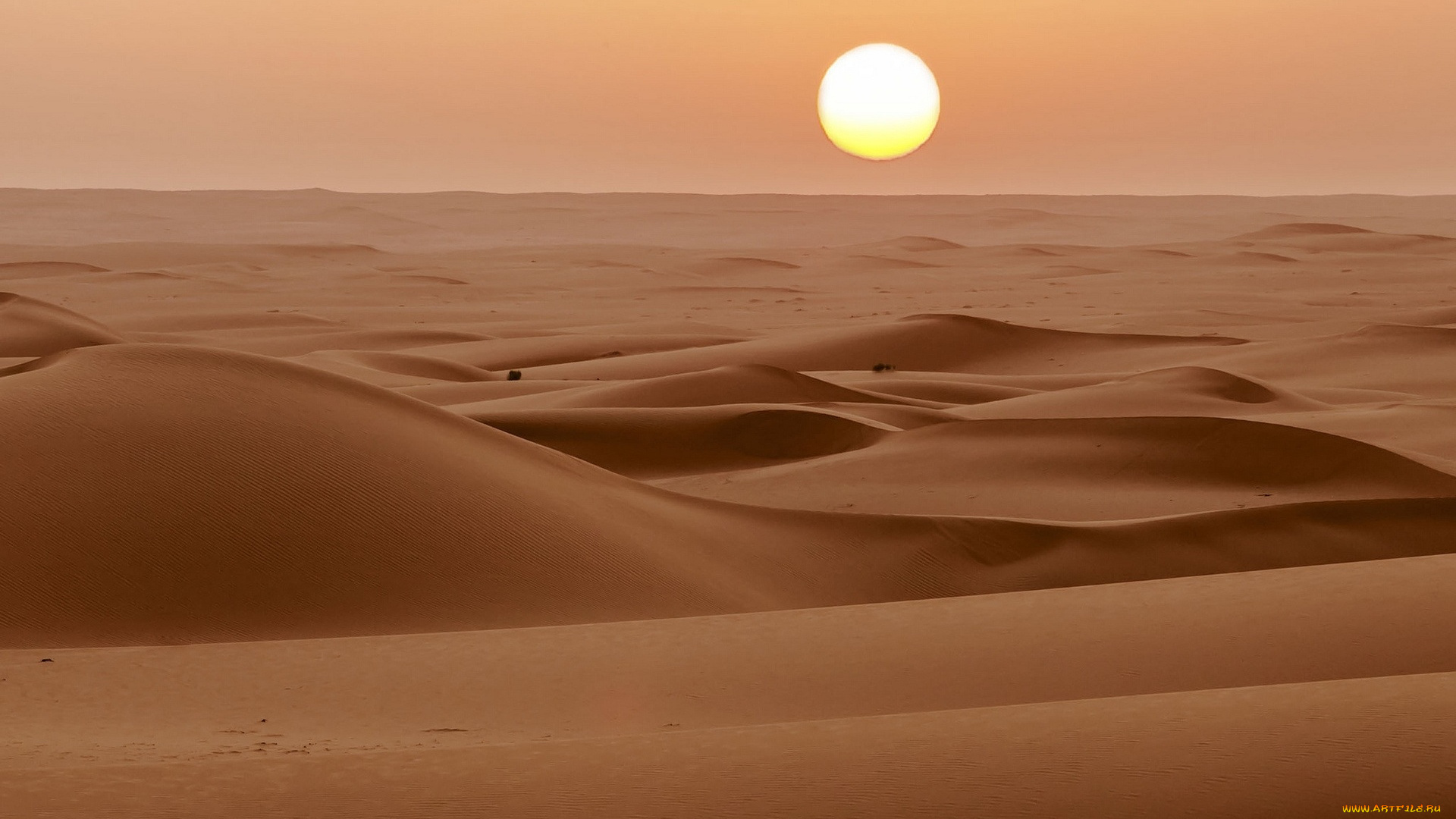 природа, пустыни, солнце, барханы, пески, закат, пустыня