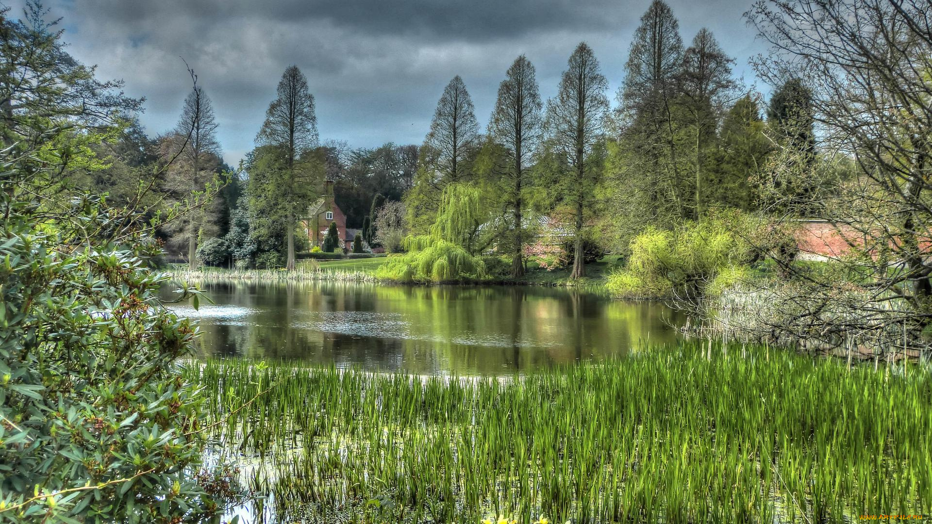 природа, реки, озера, деревья, парк, водоём, england, weston, park