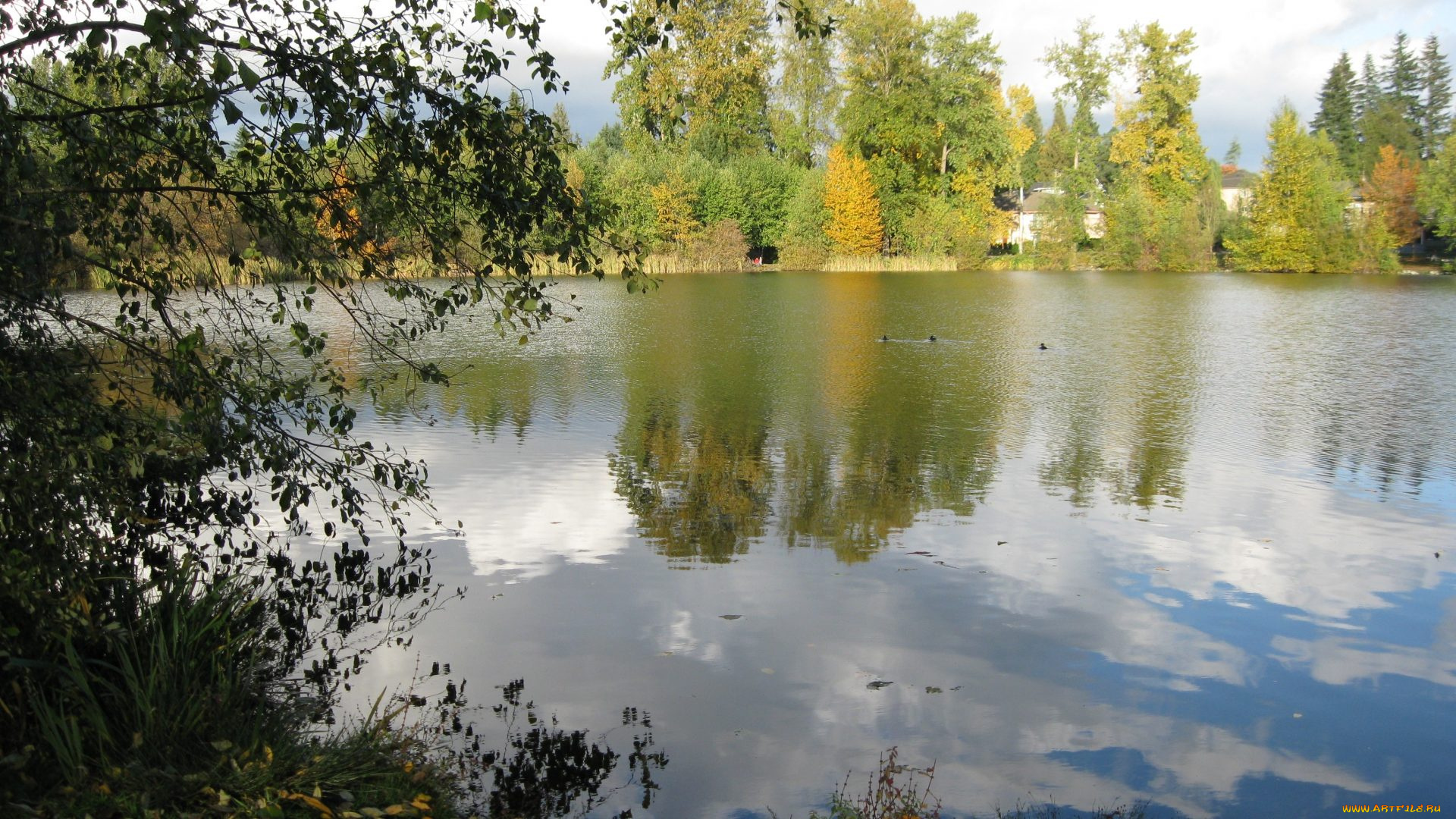 природа, реки, озера, отражение, река, осень