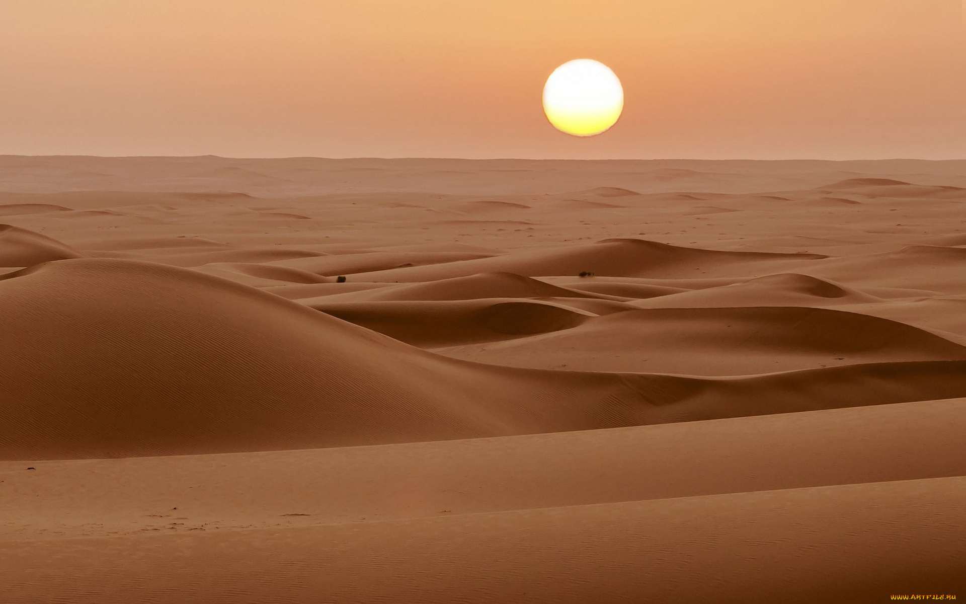 природа, пустыни, солнце, барханы, пески, закат, пустыня