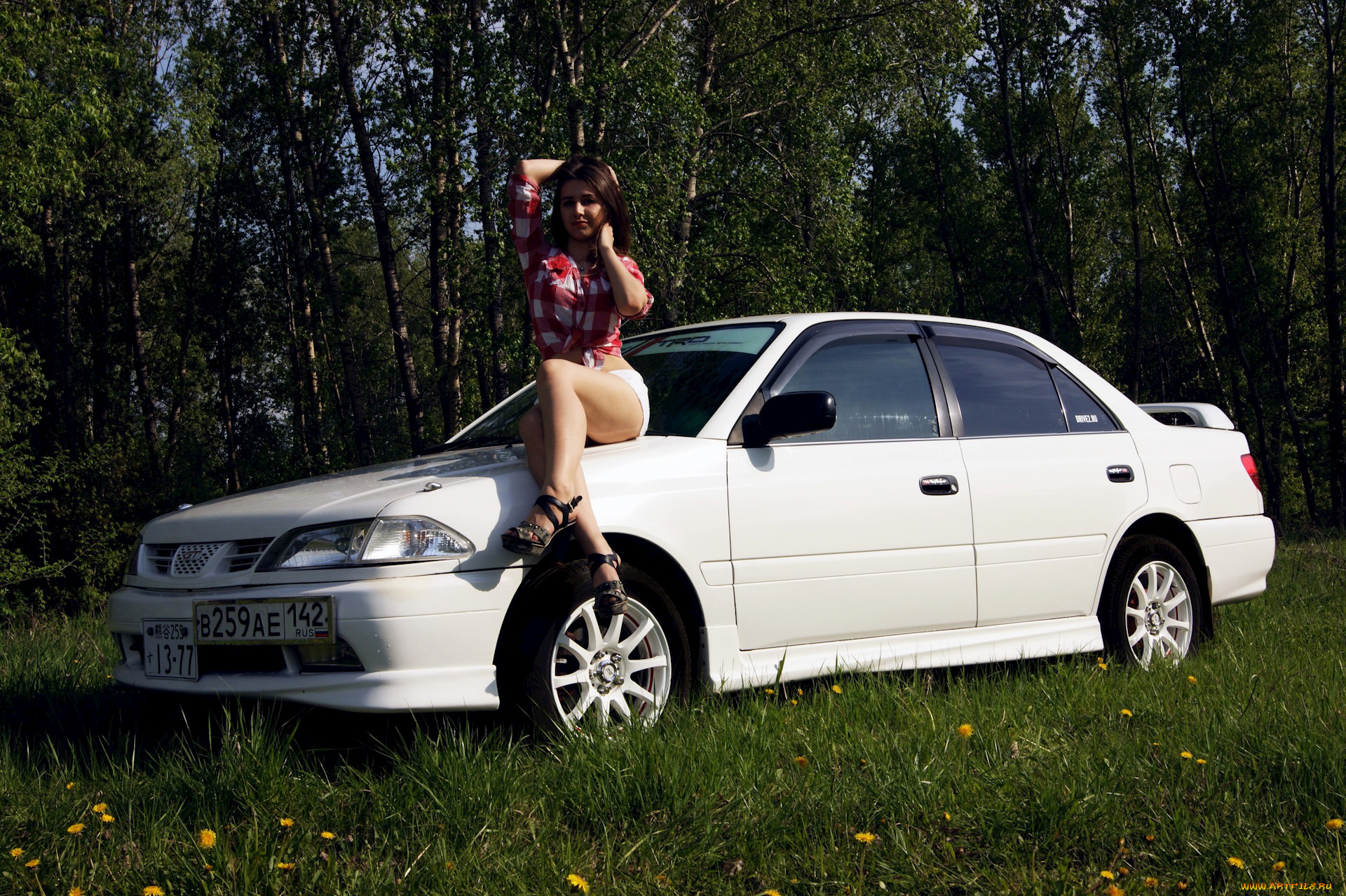 мария, и, toyota, carina, автомобили, -авто, с, девушками, мария, women, with, cars, природа, седан, белый, toyota, carina