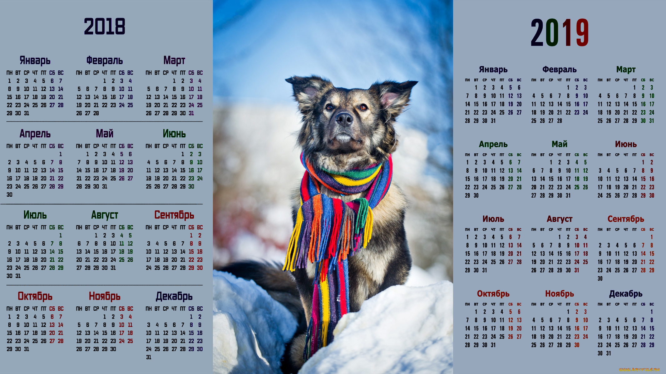 календари, животные, взгляд, собака, шарф