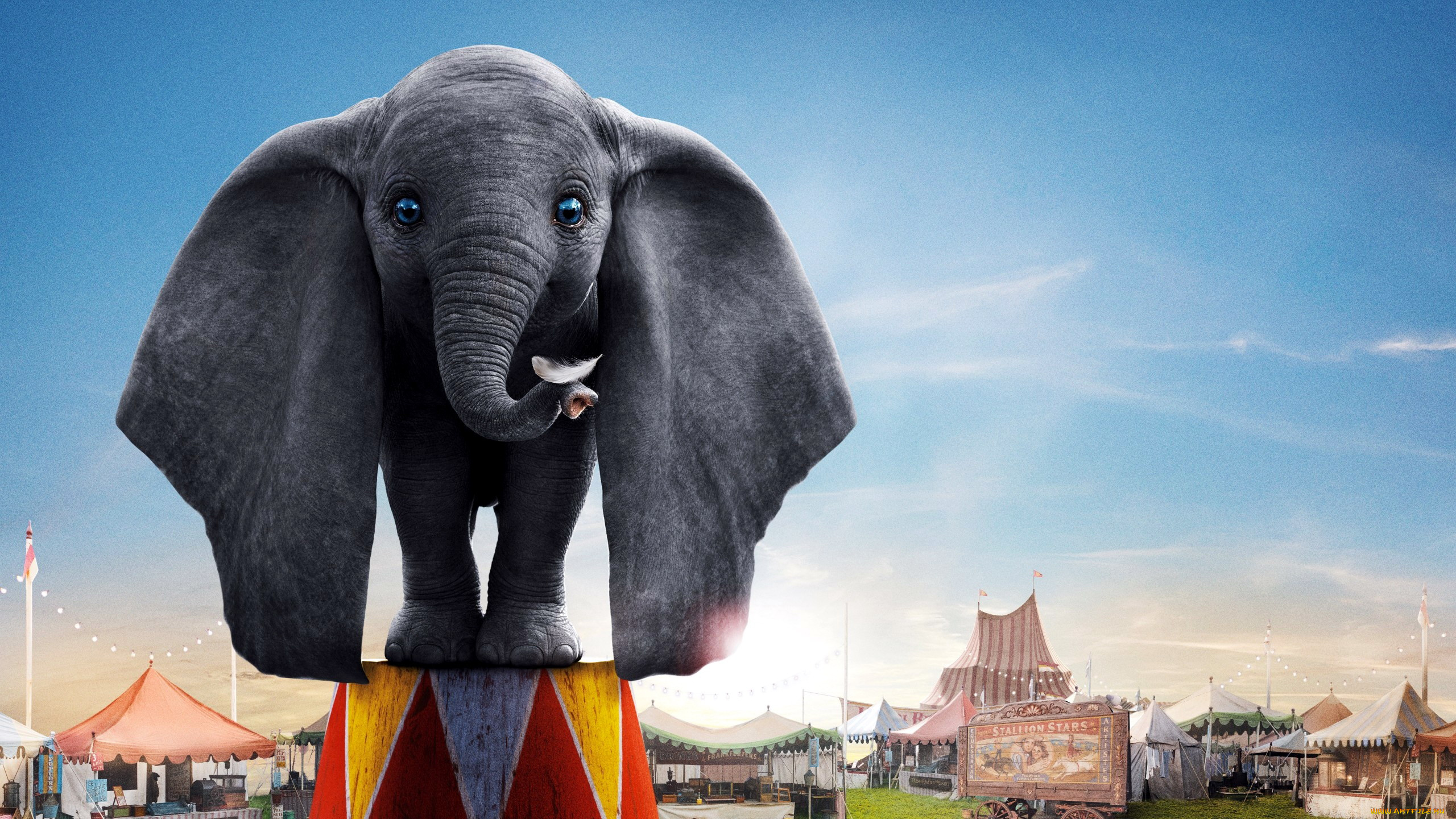 кино, фильмы, dumbo, слон