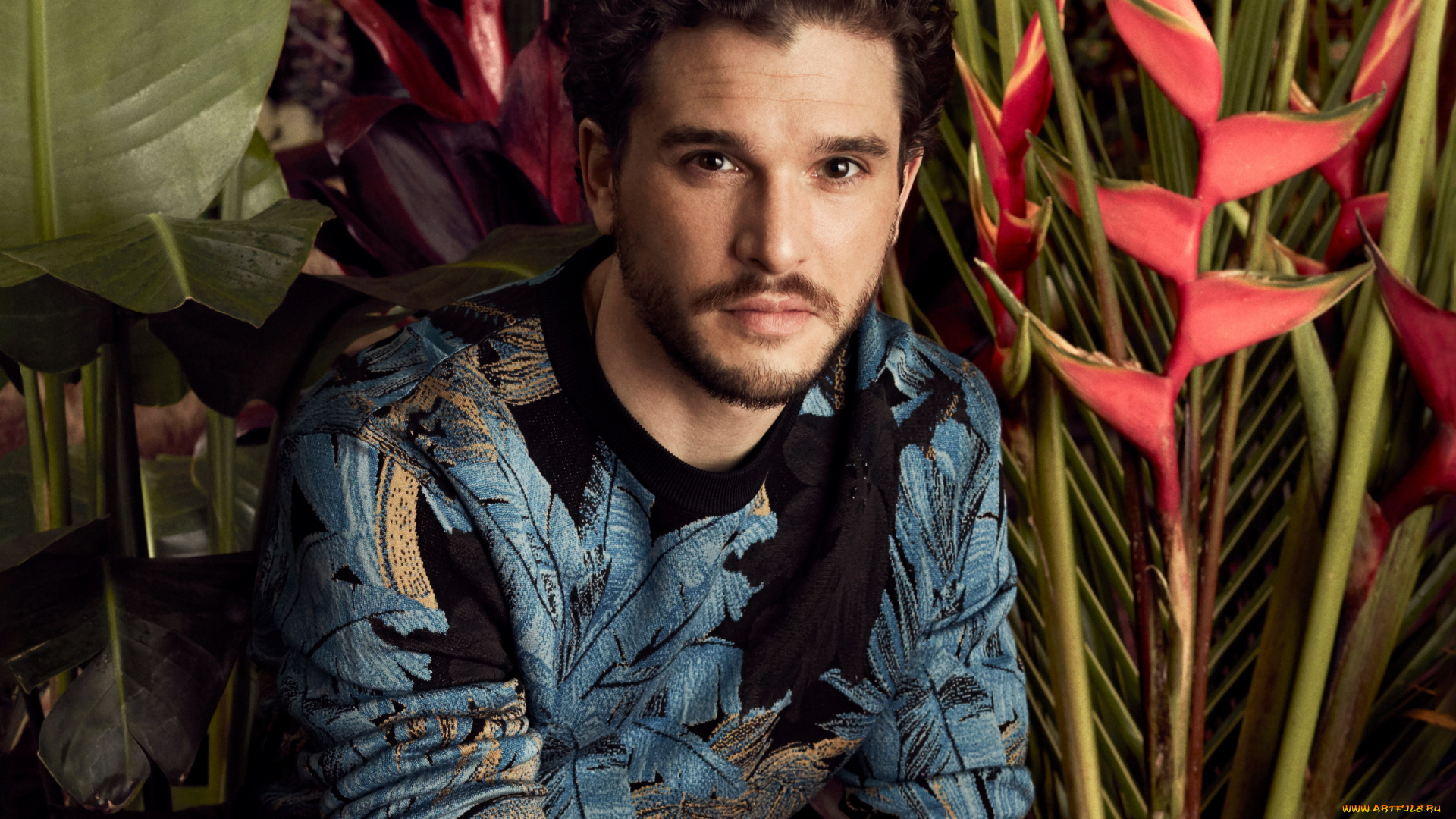 мужчины, kit, harington, kit, harington