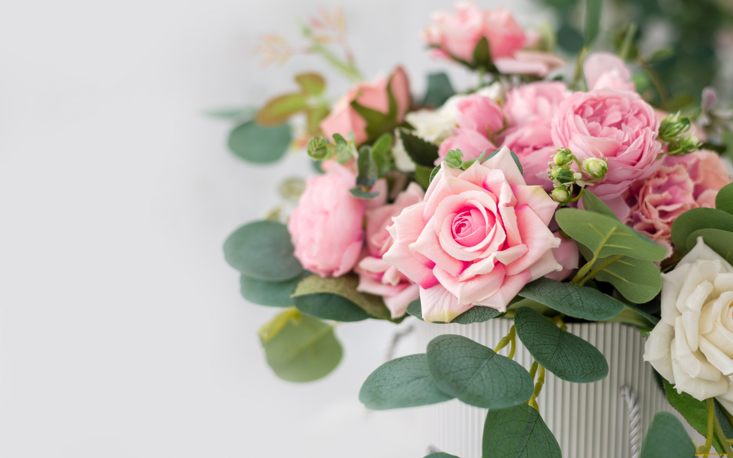 цветы, розы, коробка, букет, розовые, красивые