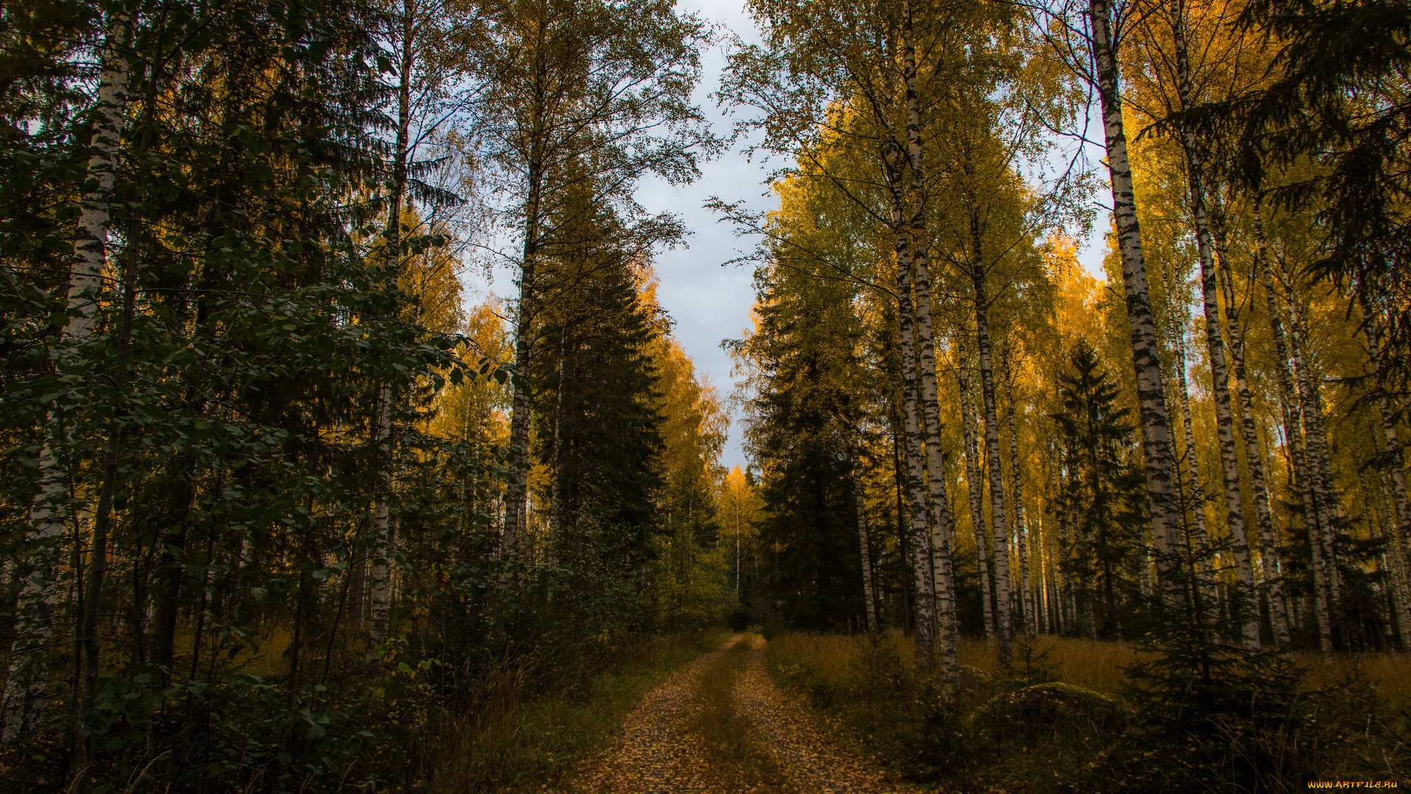 природа, дороги, осень