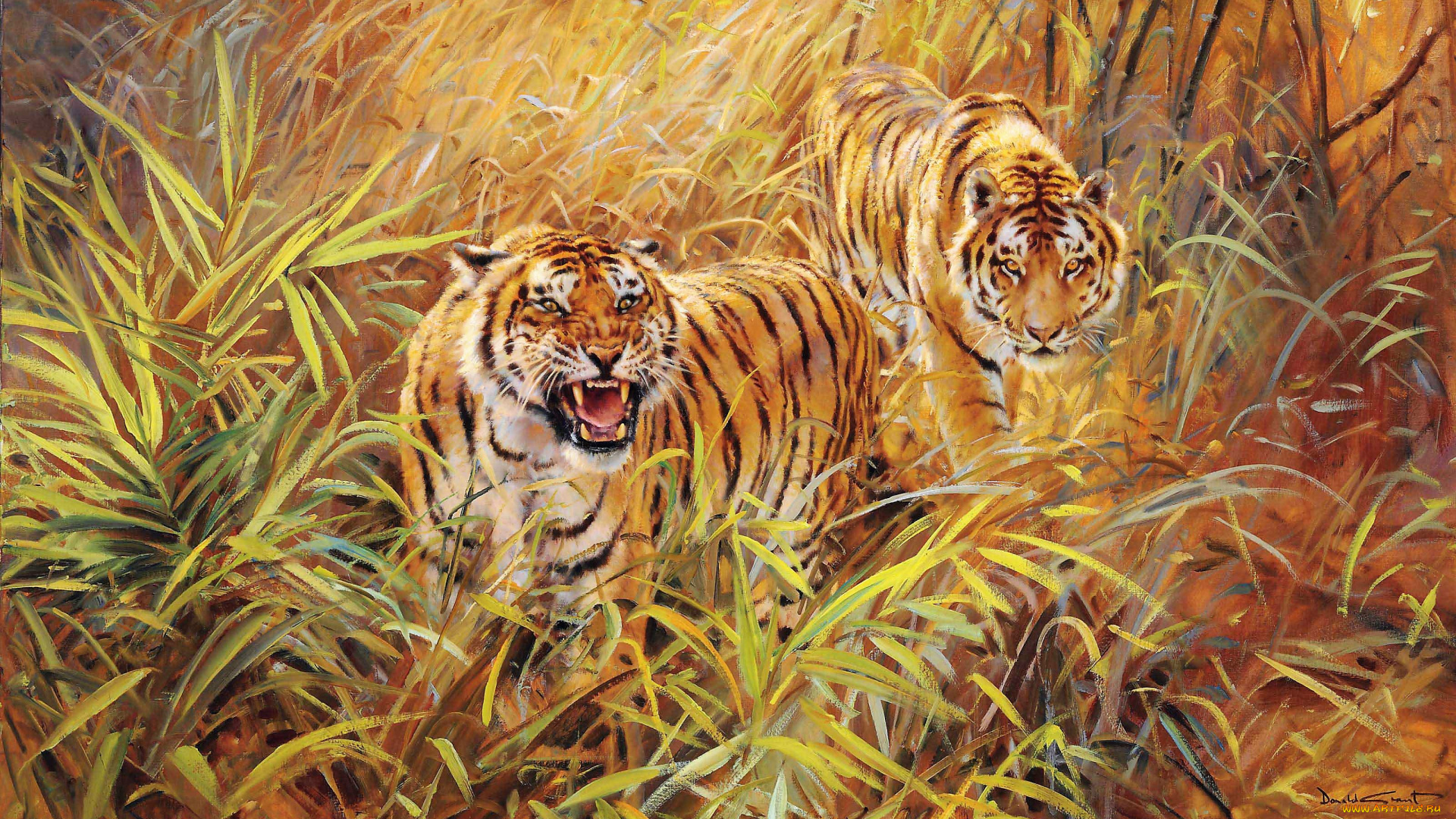 рисованное, животные, , тигры, тигры, трава