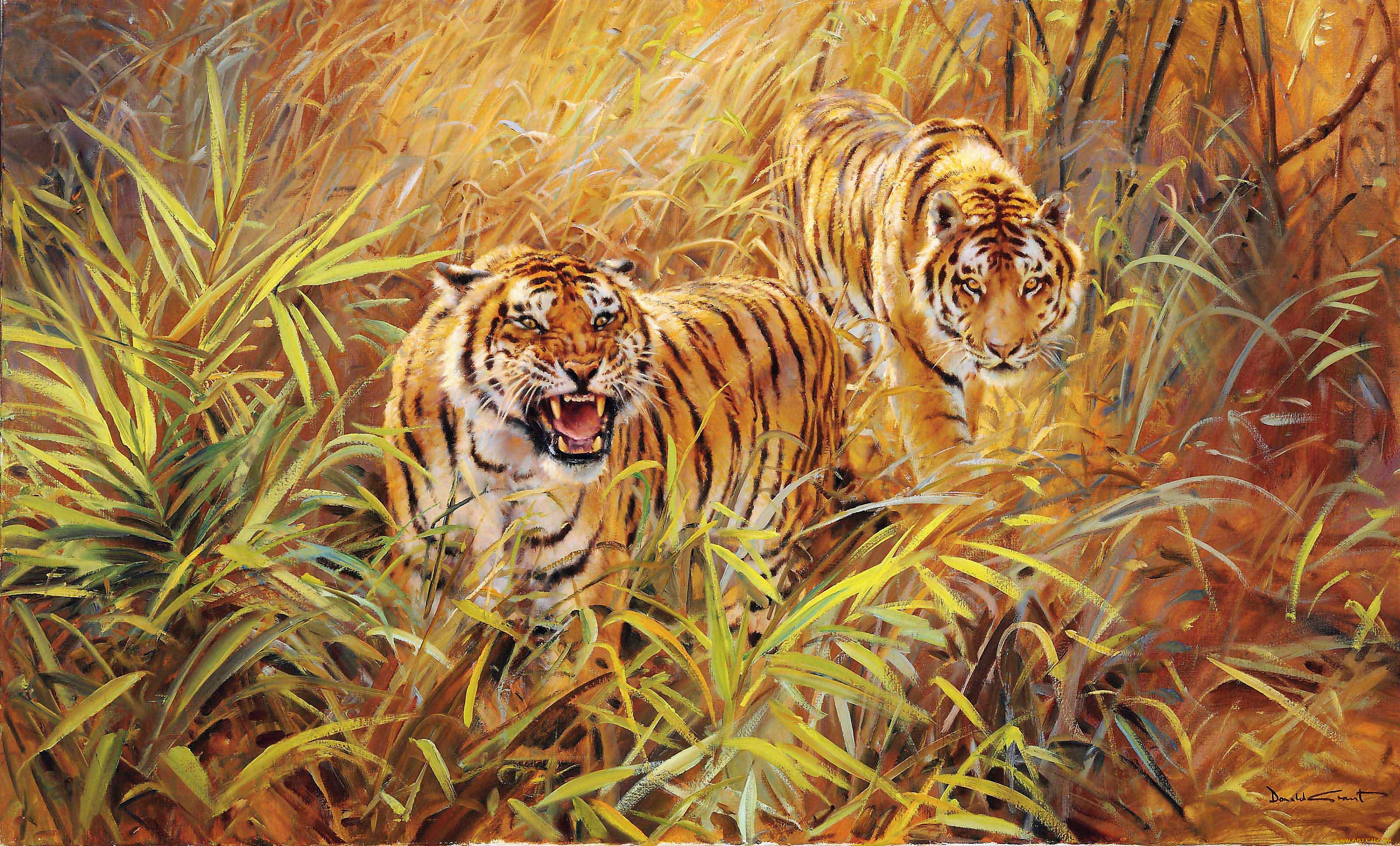 рисованное, животные, , тигры, тигры, трава