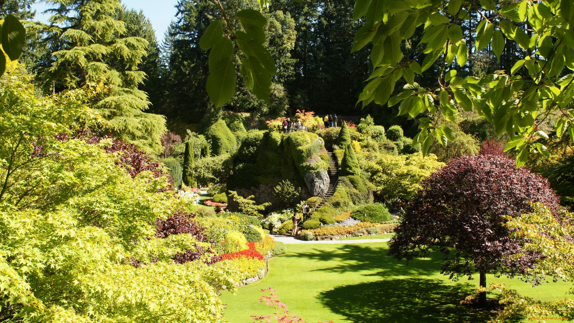 butchart, gardens, victoria, канада, природа, парк, цветы, растения, дорожки, сад, клумбы