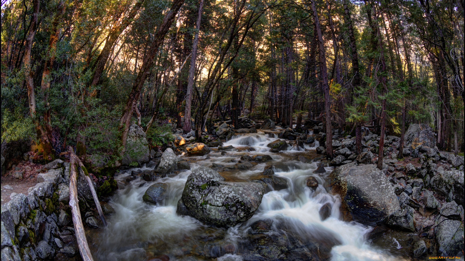 california, yosemite, national, park, природа, реки, озера, лес, река, водопад