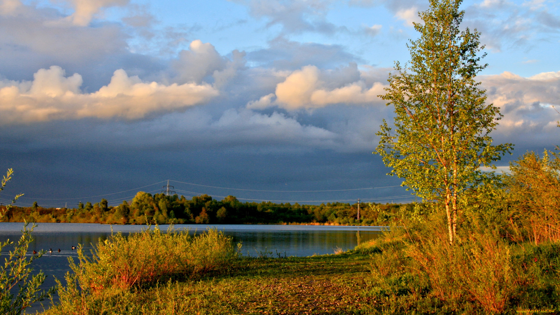 германия, лаупхайм, природа, реки, озера, кусты, река