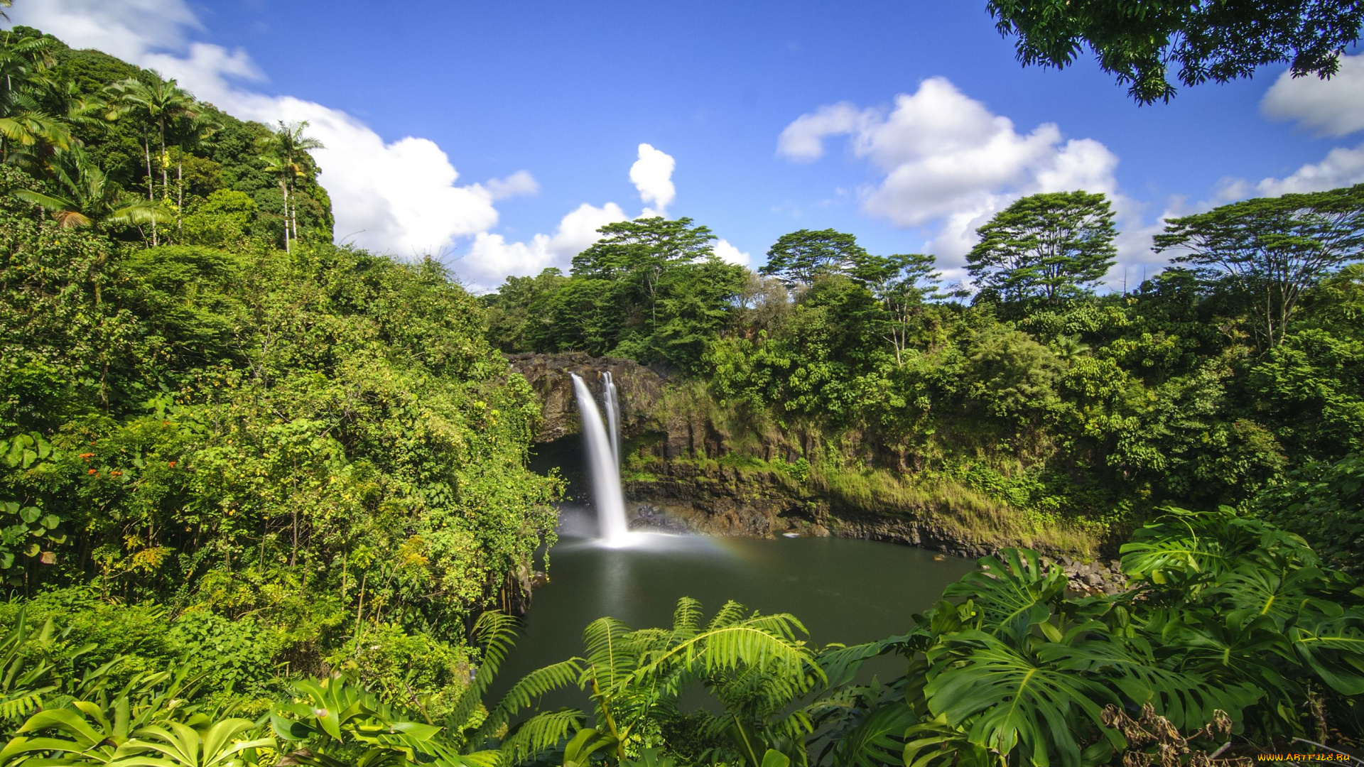 rainbow, falls, hilo, hawaii, природа, водопады, гавайи, тропики, лес