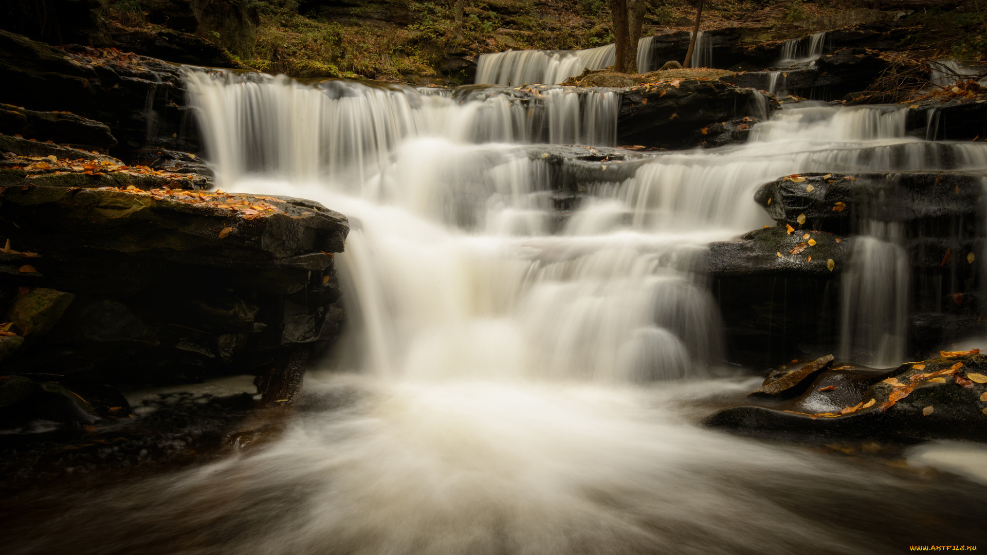 ricketts, glen, state, park, pennsylvania, природа, водопады, каскад, осень