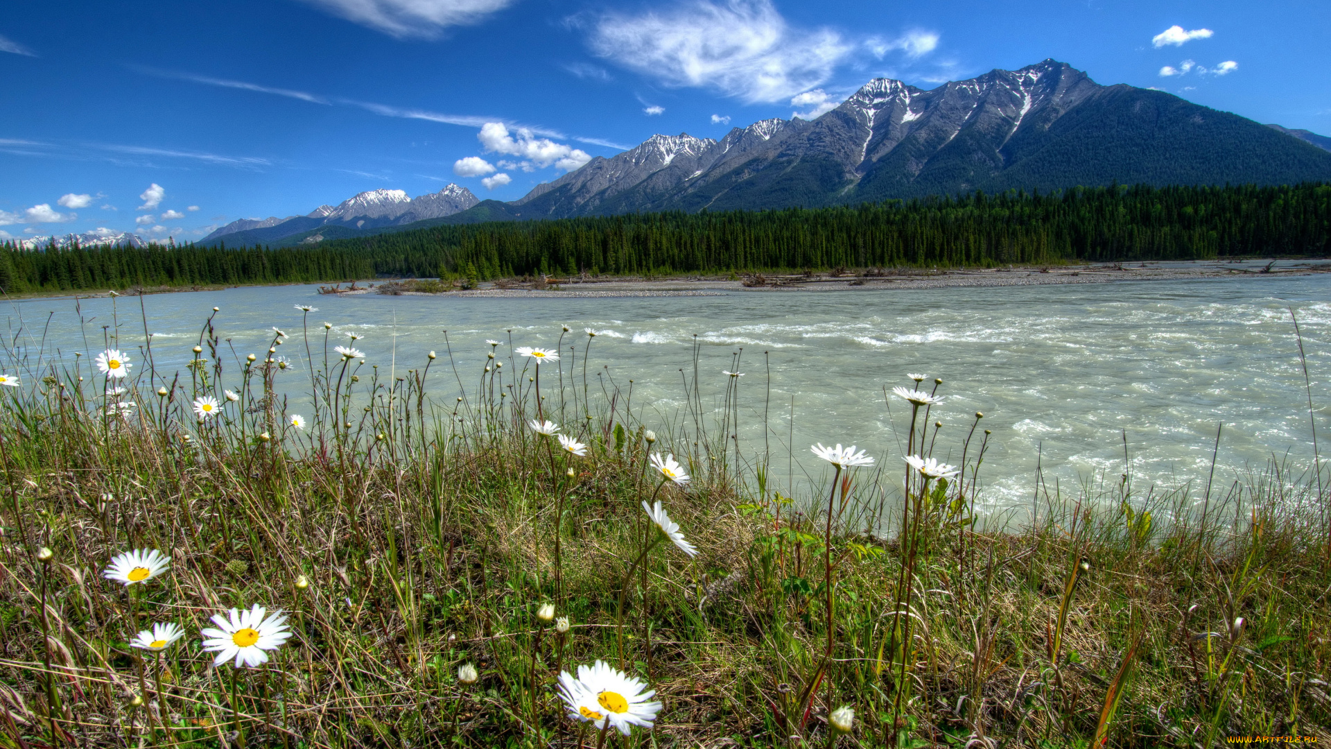 vermilion, river, kootenay, national, park, canada, природа, реки, озера, берег, река