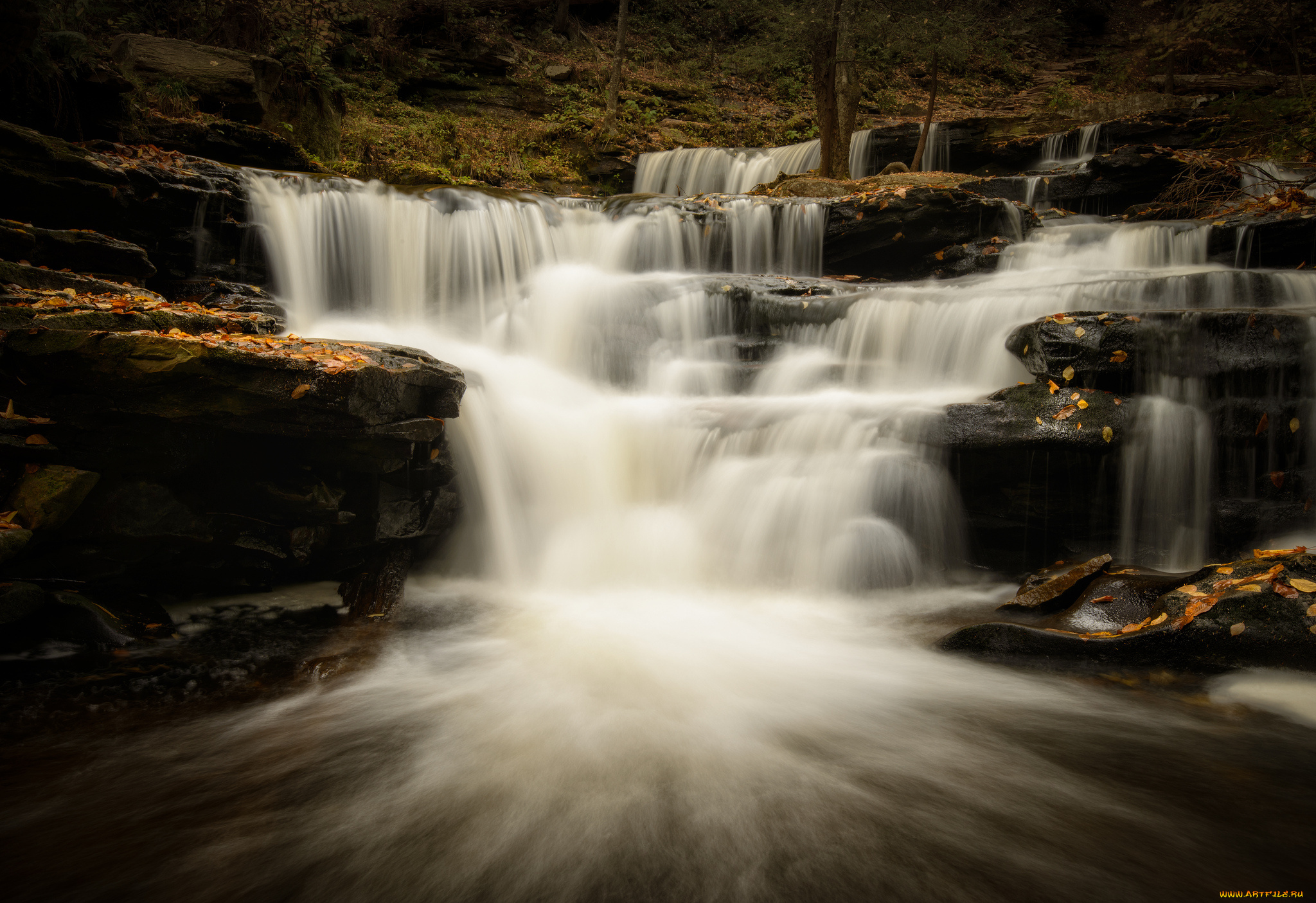 ricketts, glen, state, park, pennsylvania, природа, водопады, каскад, осень