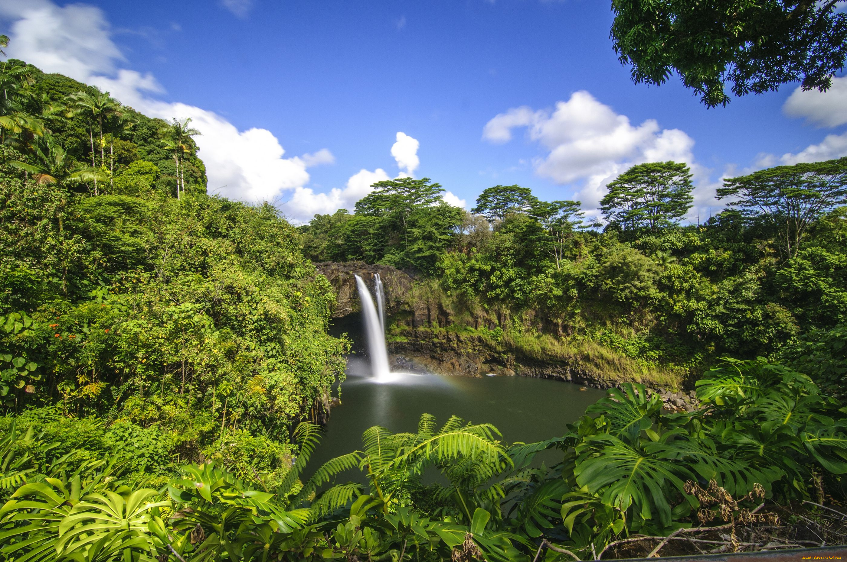 rainbow, falls, hilo, hawaii, природа, водопады, гавайи, тропики, лес